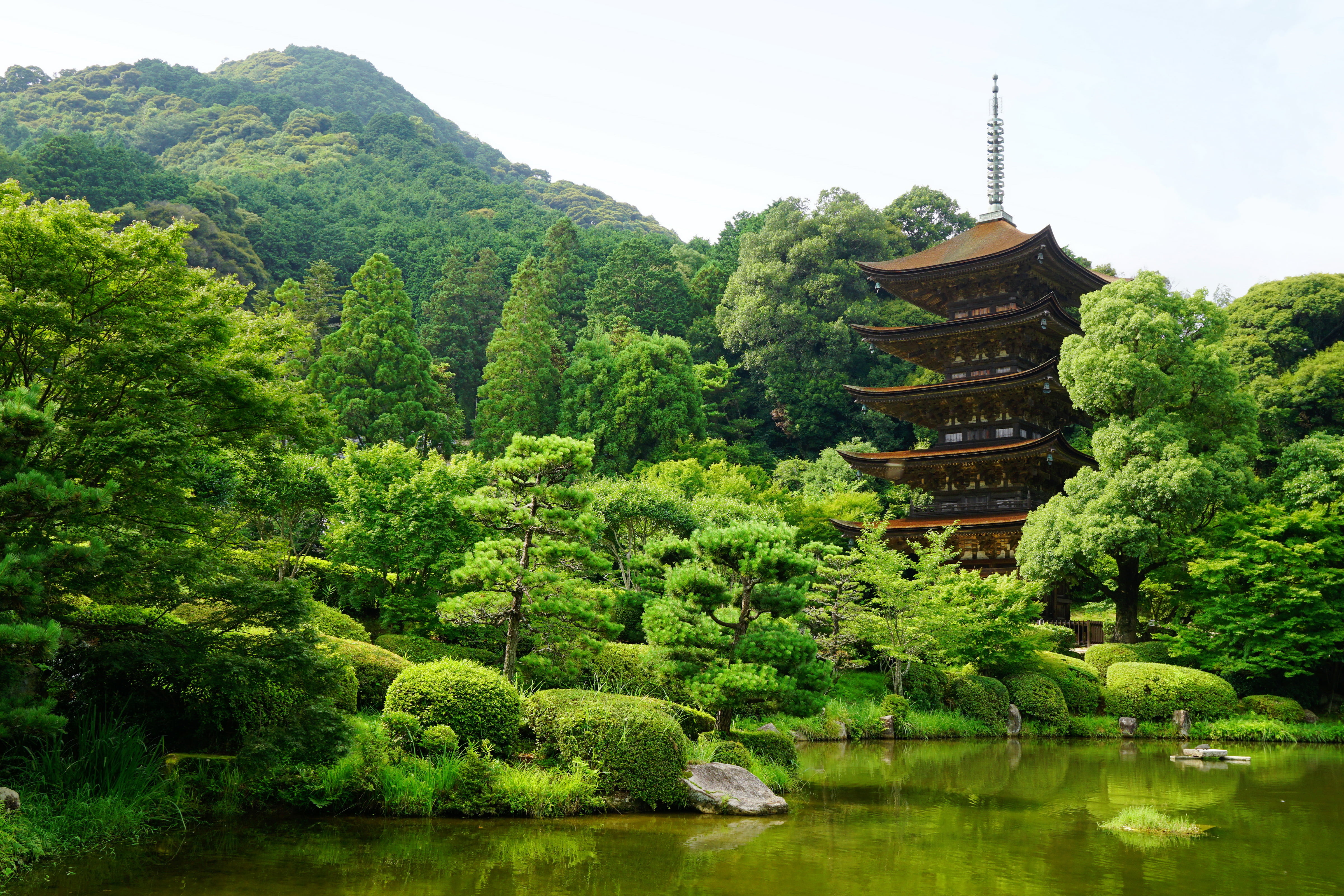 Japan, outdoors, Yamaguchi, brown, spirituality, belief, tranquility, waterfront, greens, tree, green color, wooden, religion, nature, plant, beauty in nature, HD Wallpaper