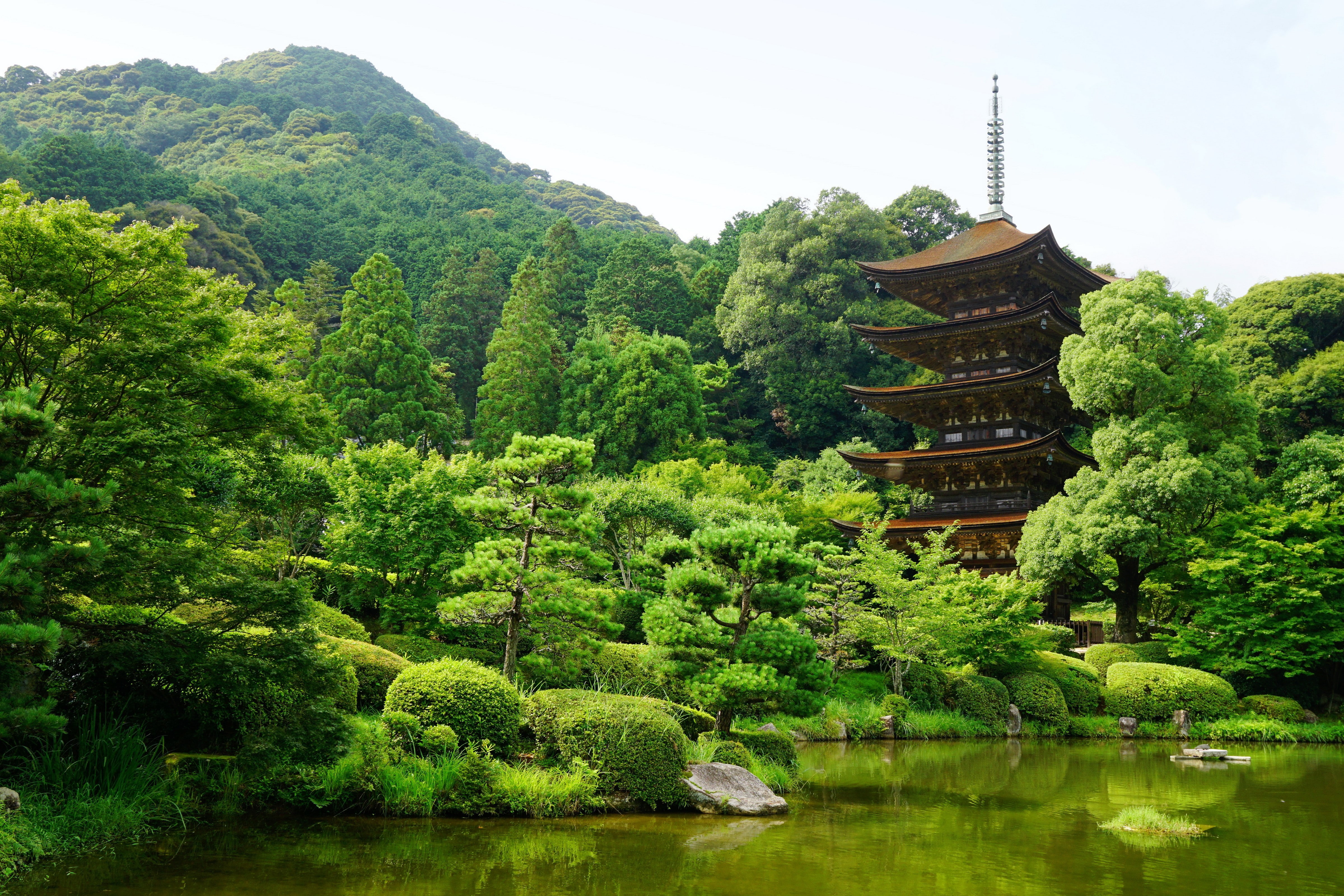 beauty in nature, Trees, plant, Yamaguchi, built structure, belief, spirituality, tranquility, growth, Japan, no people, Pond, outdoors, waterfront, nature, HD Wallpaper