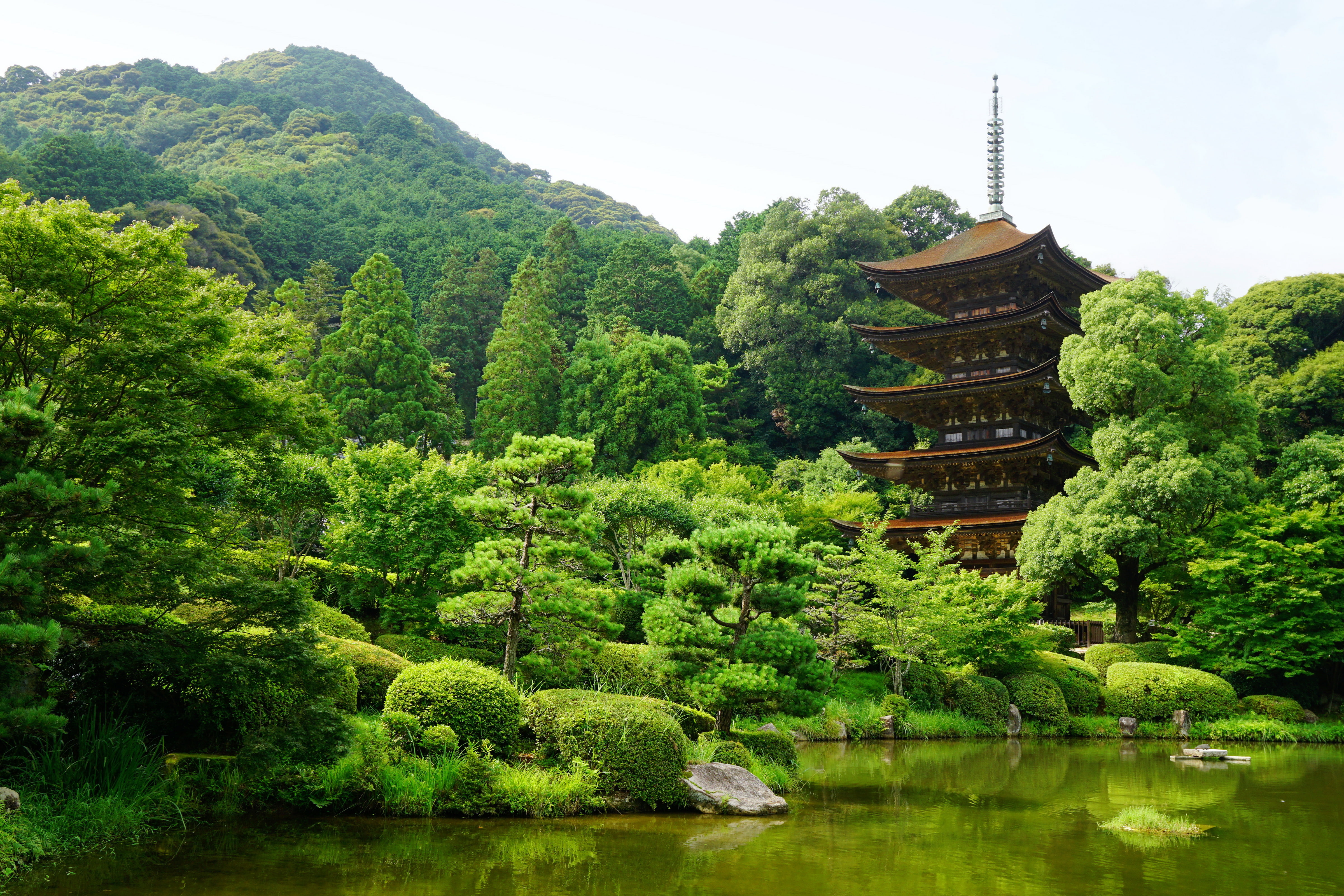 yamaguchi, japan, pond, 4K, HD Wallpaper