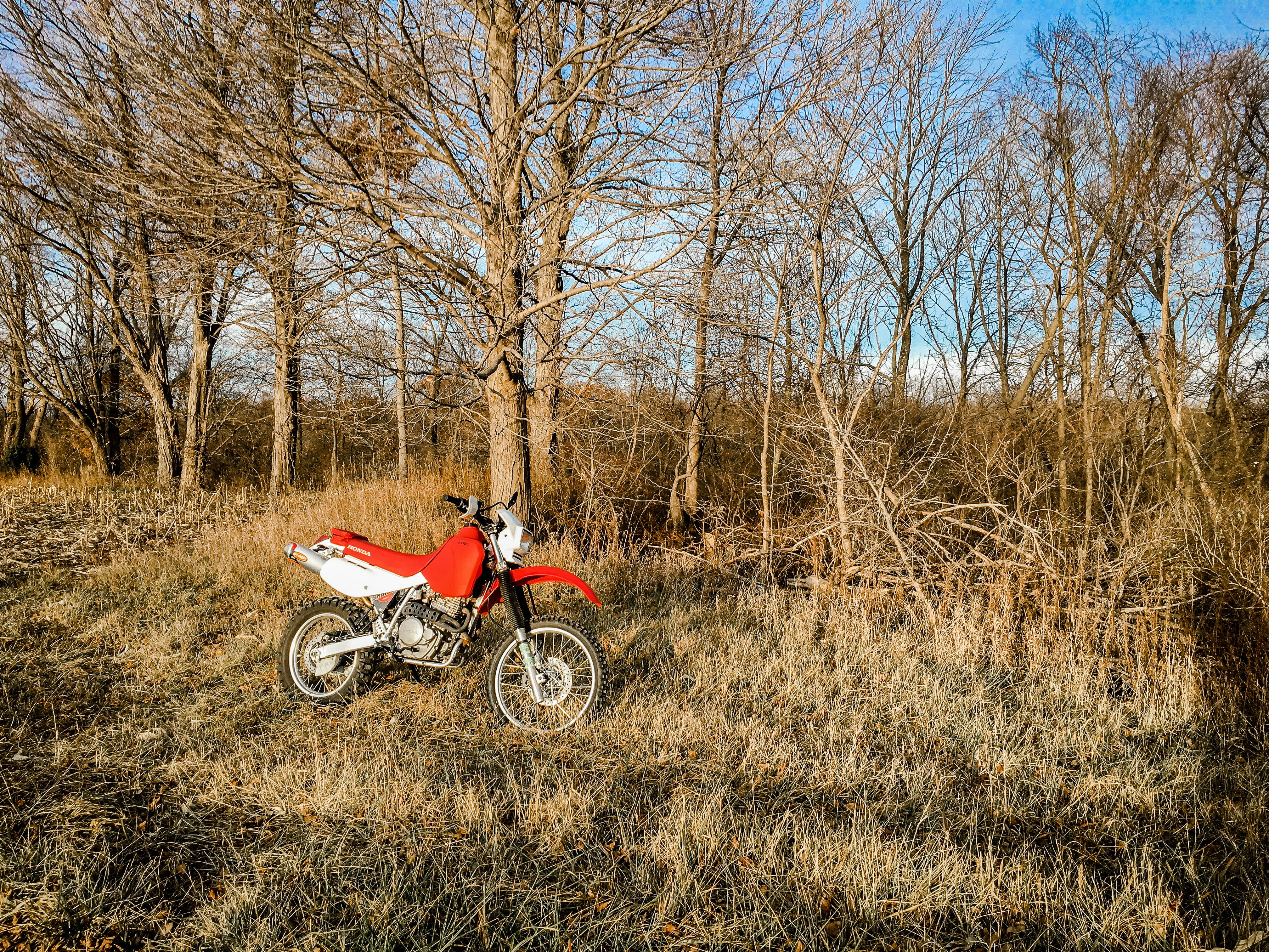 nature, lifestyles, water, united states, plant, bare tree, land, mode of transportation, honda, men, one person, riding, dual sport, leisure activity, HD Wallpaper