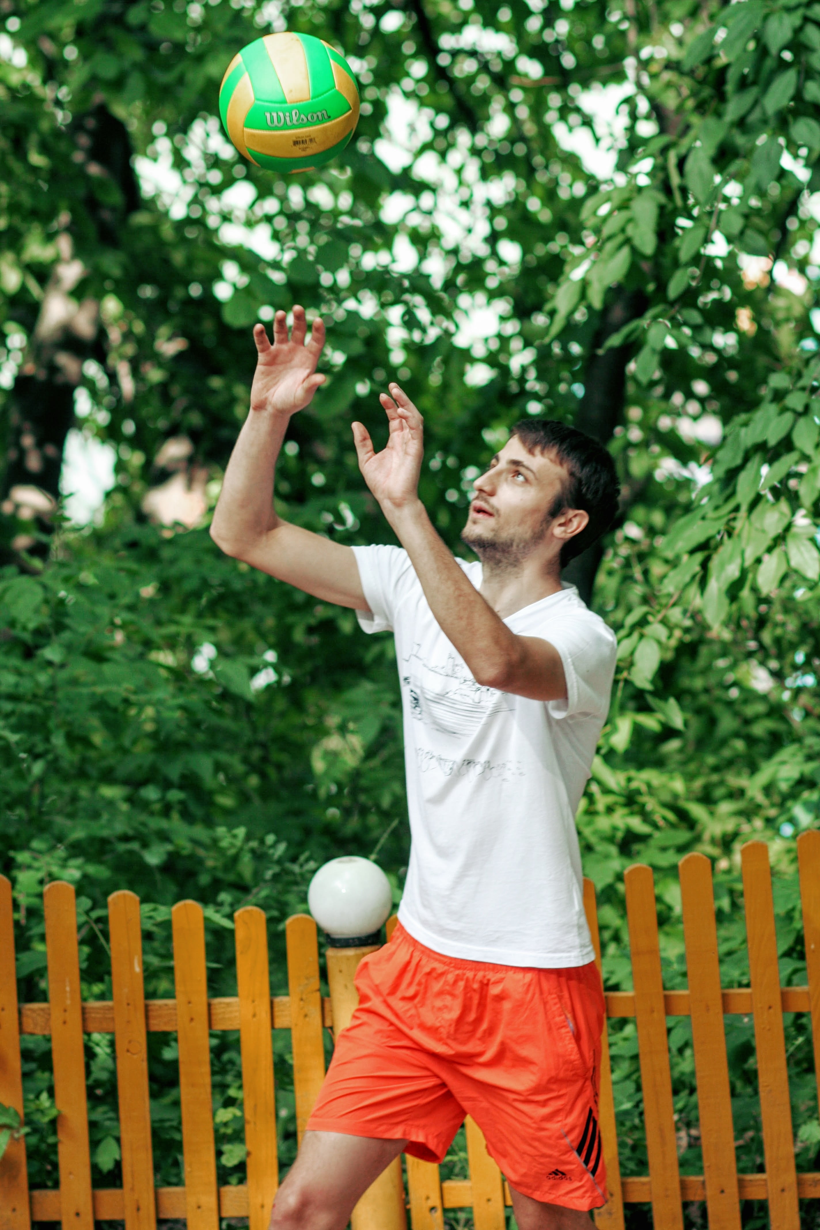men, three quarter length, action, real people, game, human arm, motion, adult, outdoors, outdoor, people, leisure, tree, player, holding, fun, 4K, volleyball - Sport, Phone HD Wallpaper