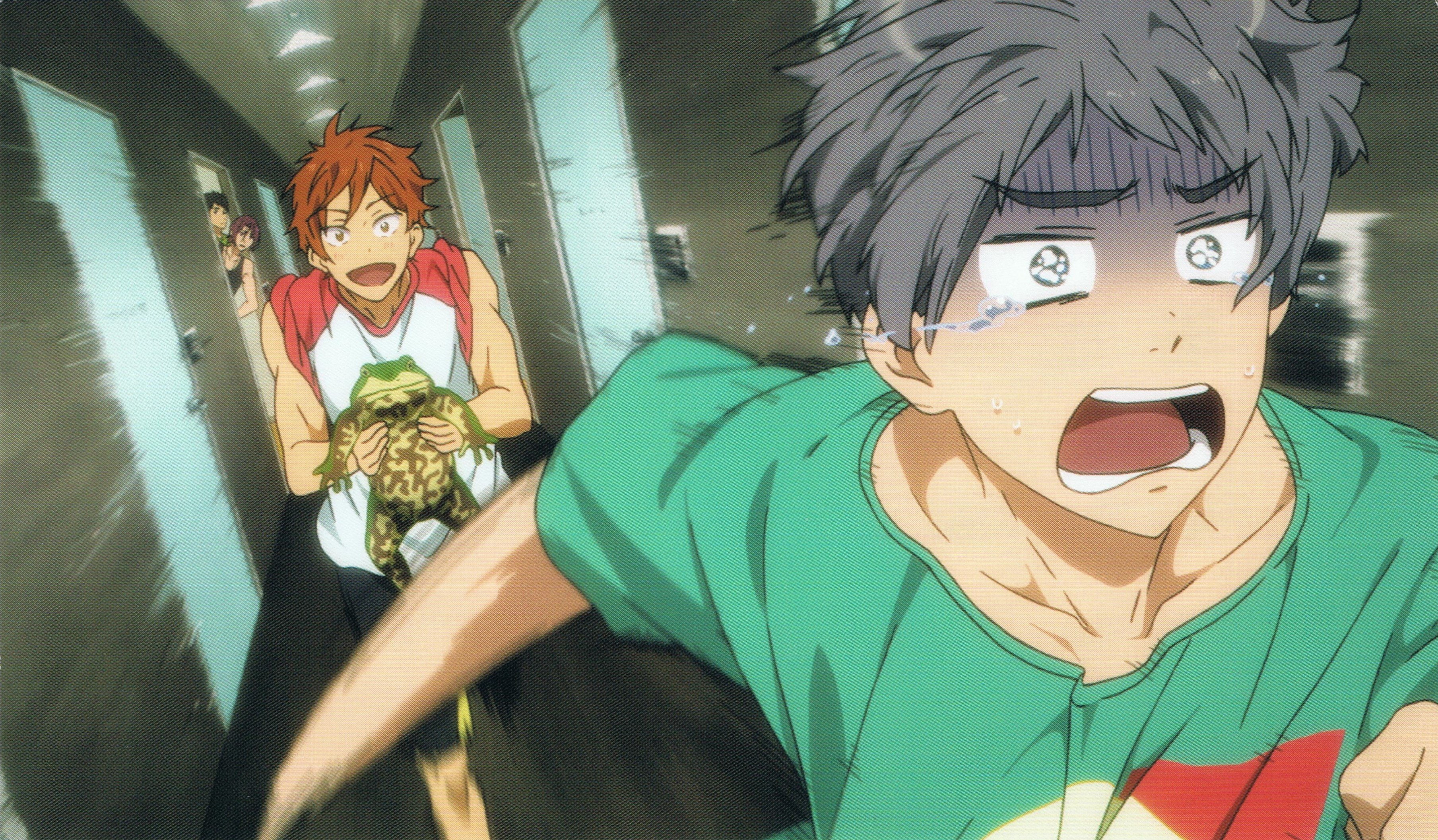 2K, matsuoka, mikoshiba, sosuke, rin, free, aiichiro, nitori, yamazaki, momotaro, HD Wallpaper