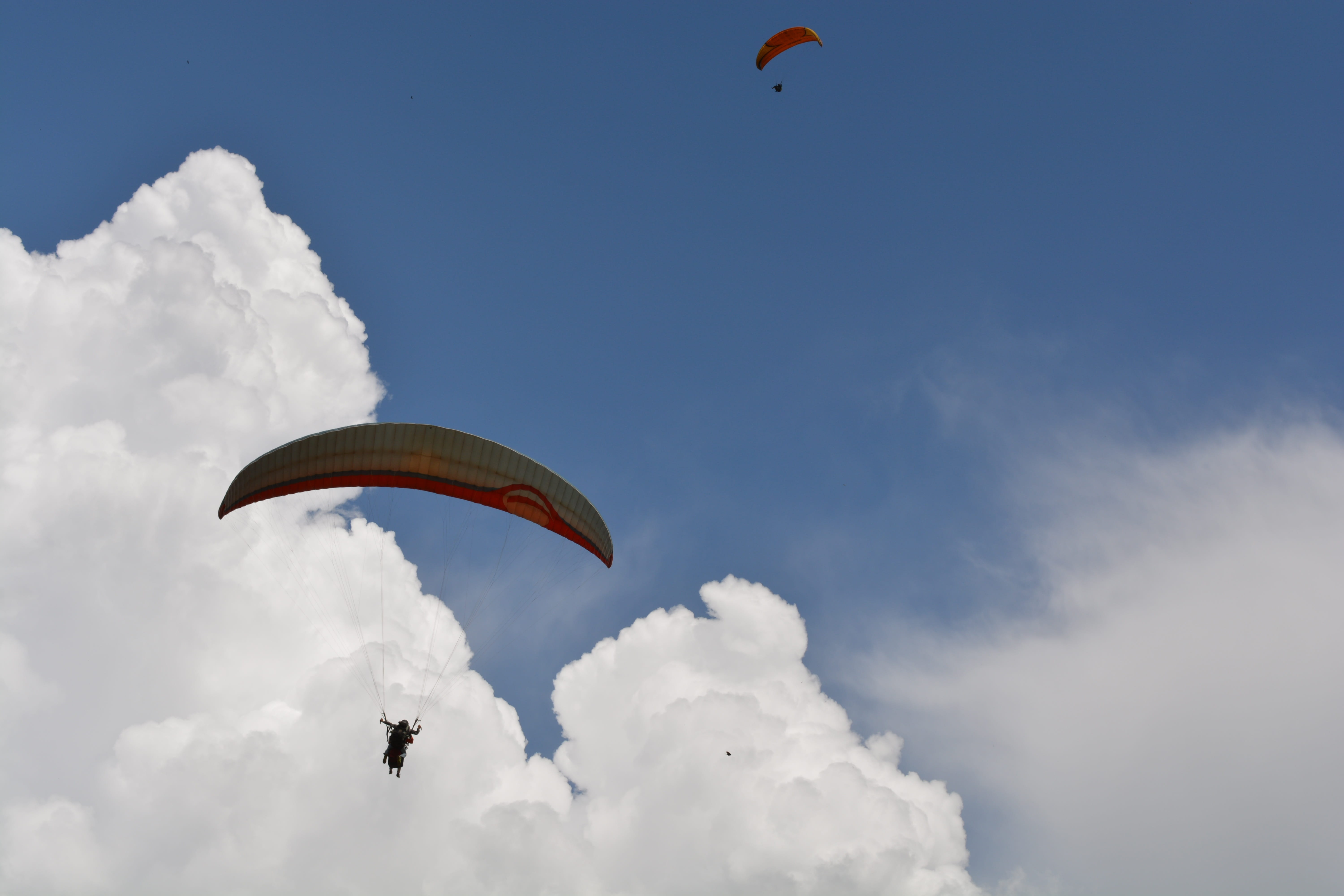 one person, adventure, risk, paragliding, lifestyles, weather, para, air, parasailing, skydiving, 5K, freedom, gliding, low angle view, unrecognizable person, HD Wallpaper