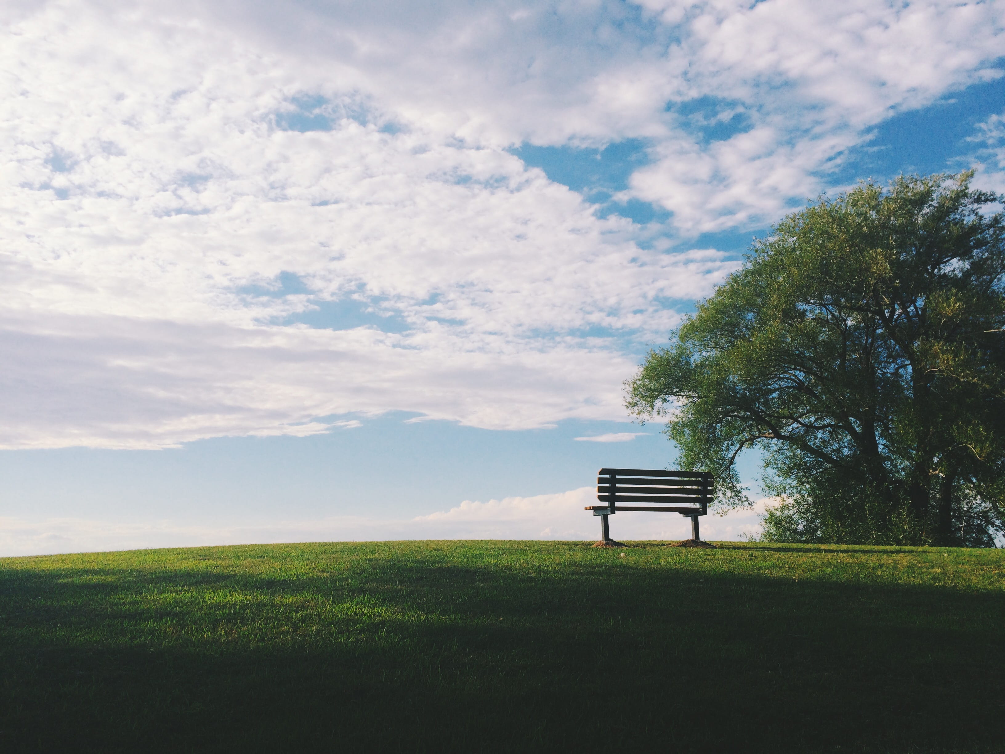 near, relaxation, white, park bench, nature, green Color, bench, Edge of America, wooden, black, landscape, plant, field, cloud - sky, environment, sky, HD Wallpaper
