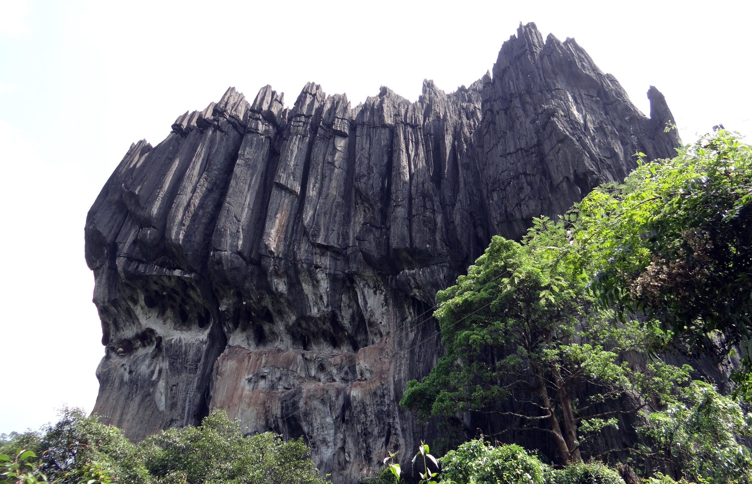 travel, nature, rock - object, karst, geology, india, karnataka, eroded, tranquility, tree, limestone, rock, yana, rock formation, low angle view, bhairaveshwar shikhar, HD Wallpaper