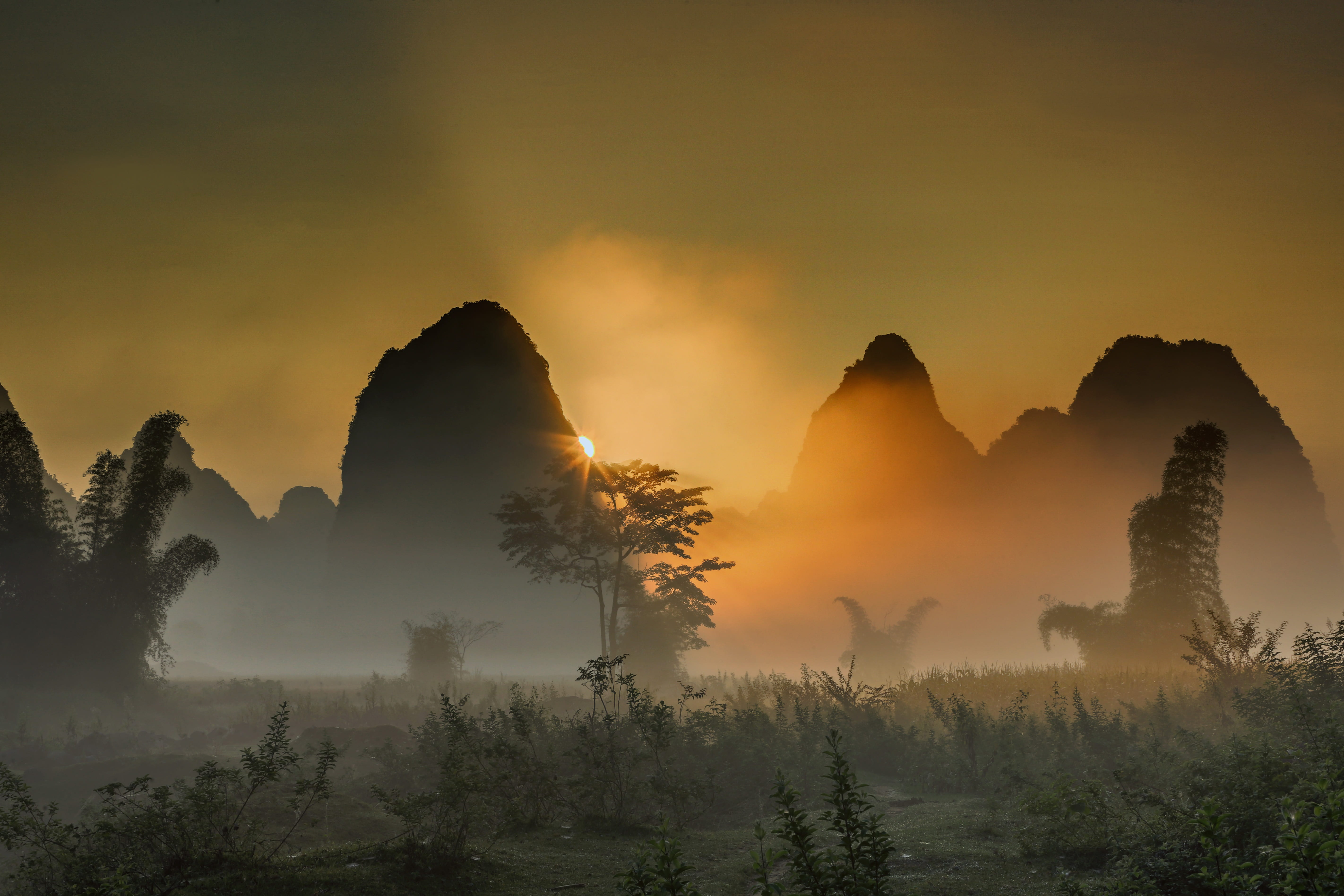 photography, scenics - nature, ngoc con cao bang vietnam, beauty in nature, 5K, smog, silhouette, sunset, mist, environment, the morning, coniferous tree, HD Wallpaper