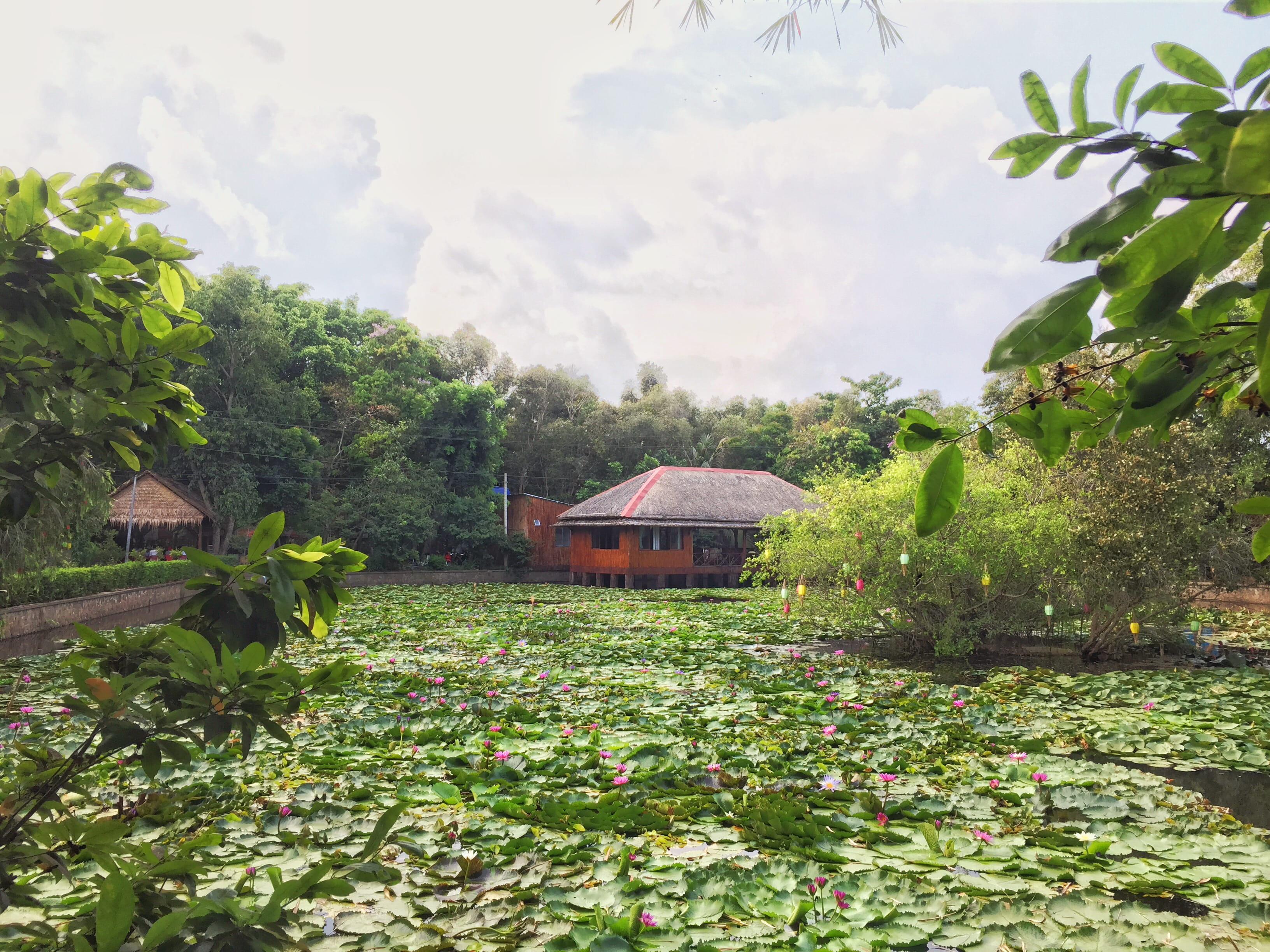 cao lãnh, sky, building exterior, plant, nature, house, beauty in nature, building, flowering plant, built structure, 2K, day, vietnam, flower, plant part, HD Wallpaper