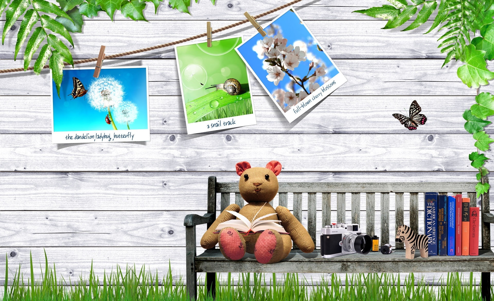 Reading, art and craft, representation, building exterior, Creative, Bench, human representation, toy, Pictures, building, architecture, Teddy, day, stuffed toy, HD Wallpaper
