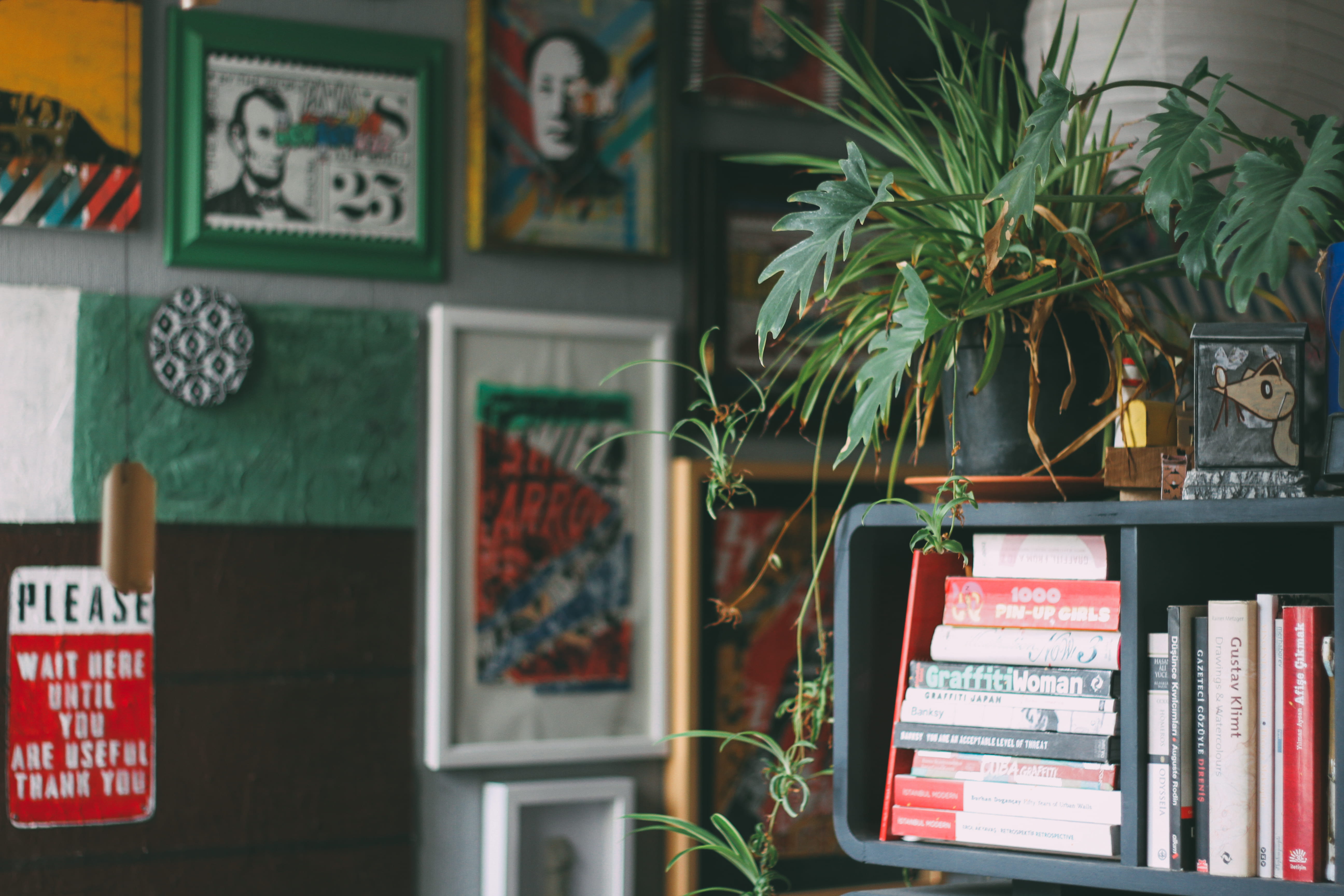 frame, communication, shelf, plant, western script, gray, retail, book, assorted, focus on foreground, no people, wall art, for sale, publication, decoration, HD Wallpaper