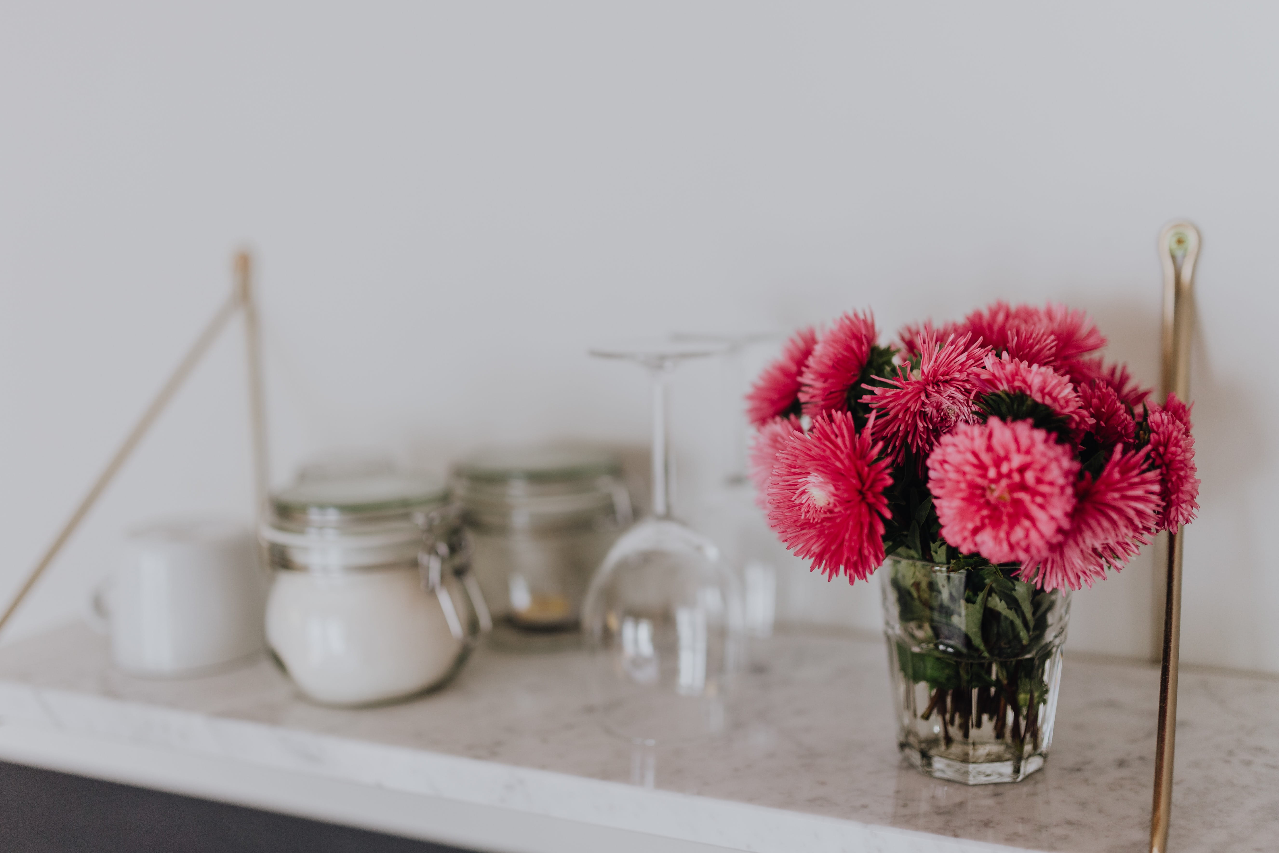 freshness, plant, flora, close-up, vulnerability, macbook, flower, shelf, nature, jar, bouquet, 5K, flowers, flower arrangement, fresh, flowering plant, HD Wallpaper
