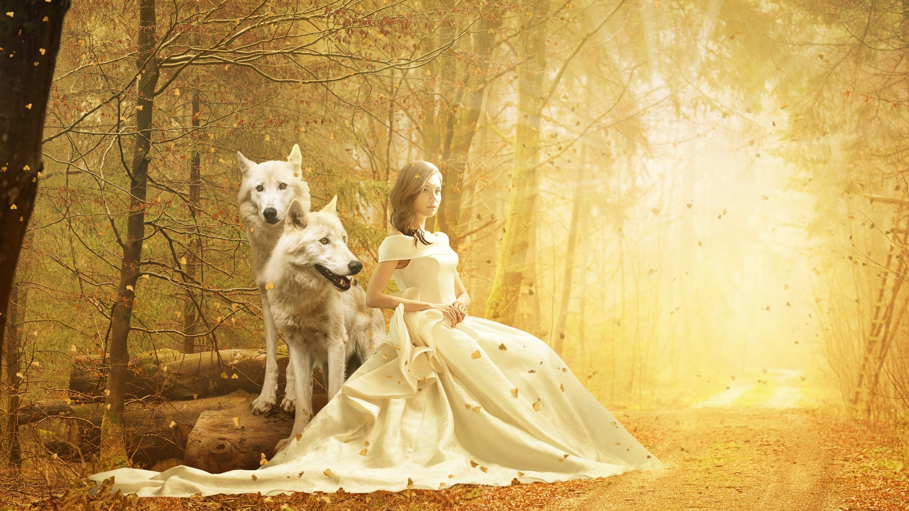 adult, two, yellow, canine, women, tree, magic, scenic, forest, light, people, wood, day, leaves, dog, white, autumn, nature, 2K, wolf, plant, scenery, HD Wallpaper