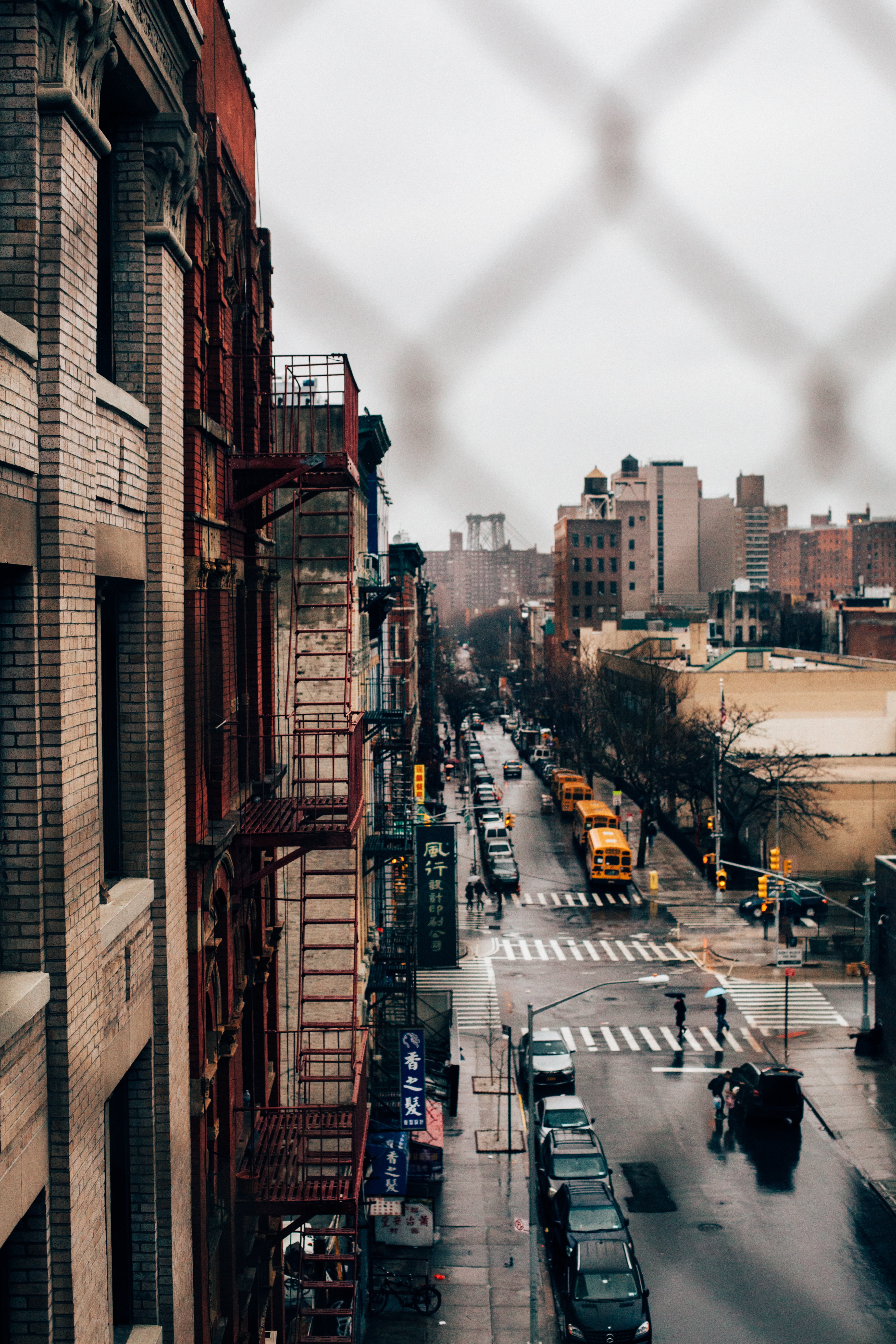 trees, man, cityscape, land vehicle, infrastructure, stoplight, beside, outdoors, establishment, crossing, rooftop, architecture, road, building exterior, Phone HD Wallpaper