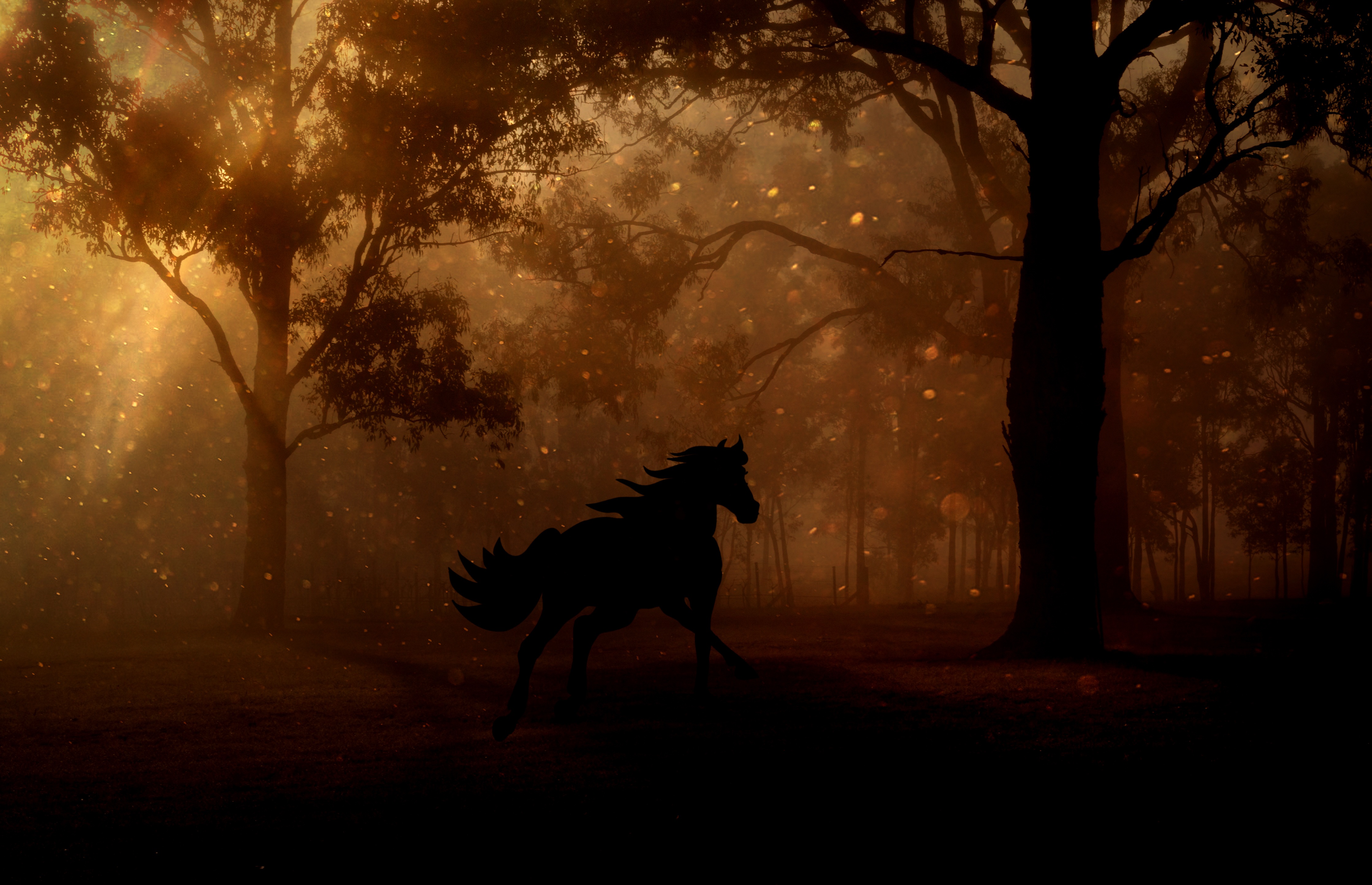 pets, trunk, gallop, herbivorous, vertebrate, sky, tree trunk, 4K, animal, nature, plant, domestic, trees, land, domestic animals, silhouette, tree, mammal, HD Wallpaper