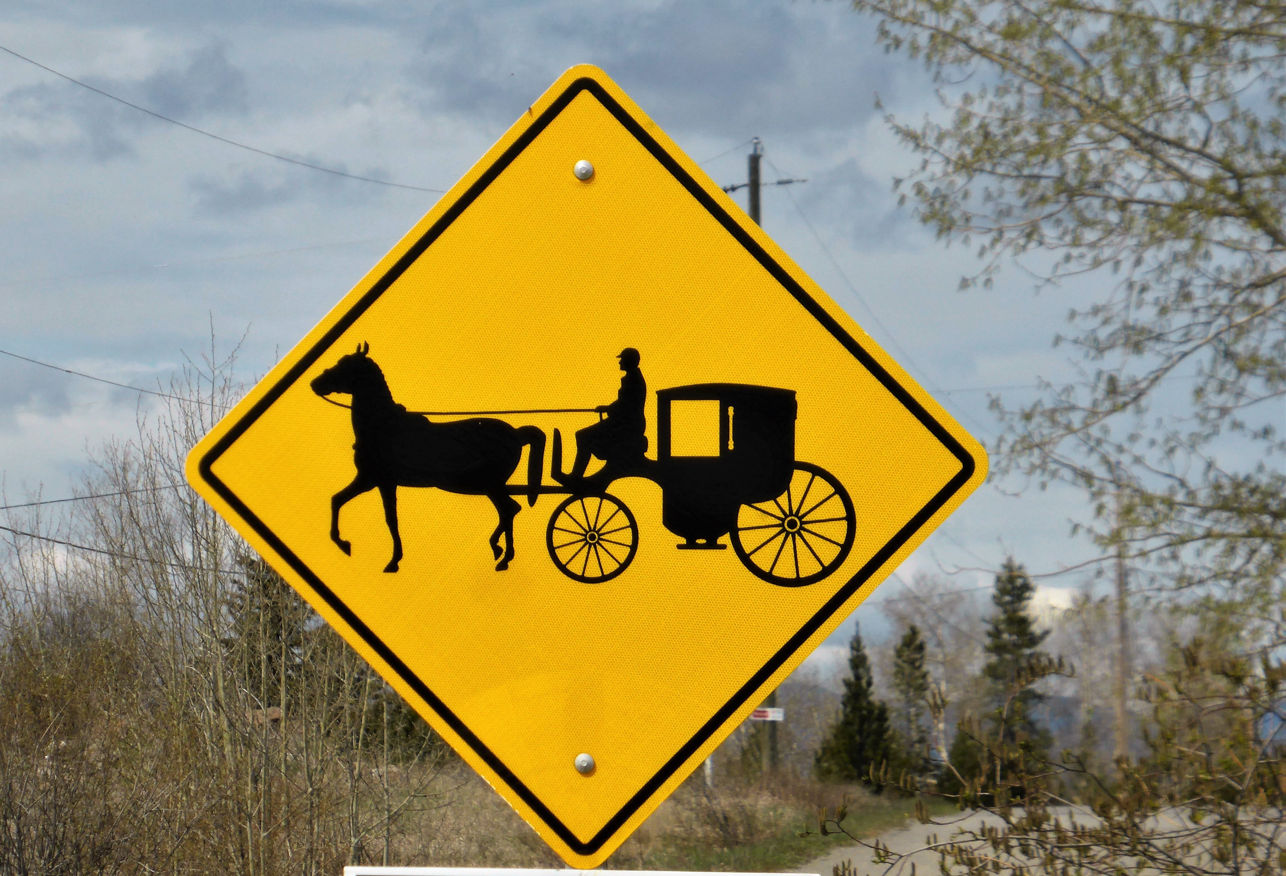 plant, cinderella, sign, mammal, no people, coach, tree, warning symbol, antique, coachman, horse and carriage, warning sign, wheels, crossing sign, outdoors, HD Wallpaper