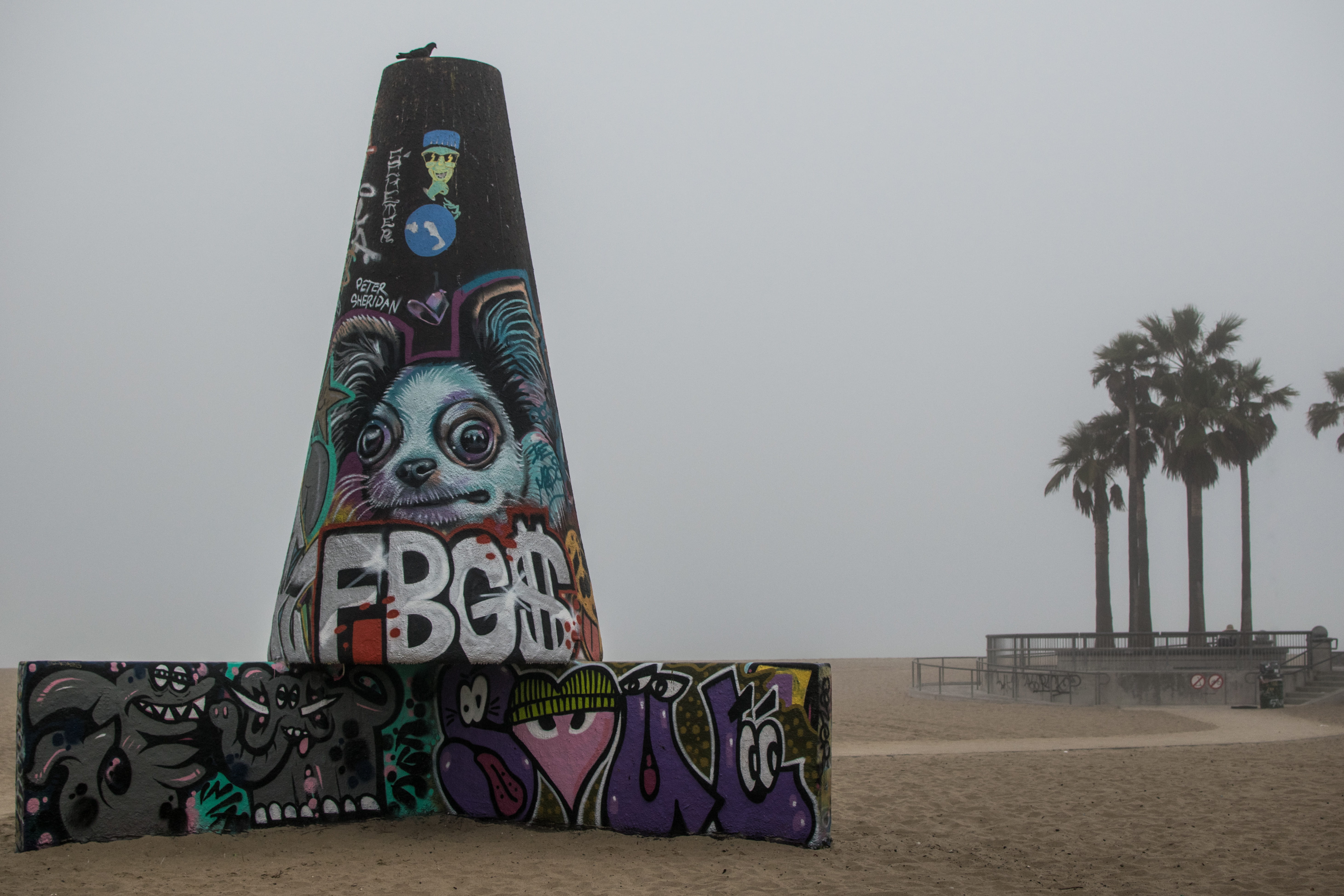 creativity, venice, california, fog, plant, wall - building feature, street art, art, venice beach, architecture, palm tree, beach, human representation, HD Wallpaper