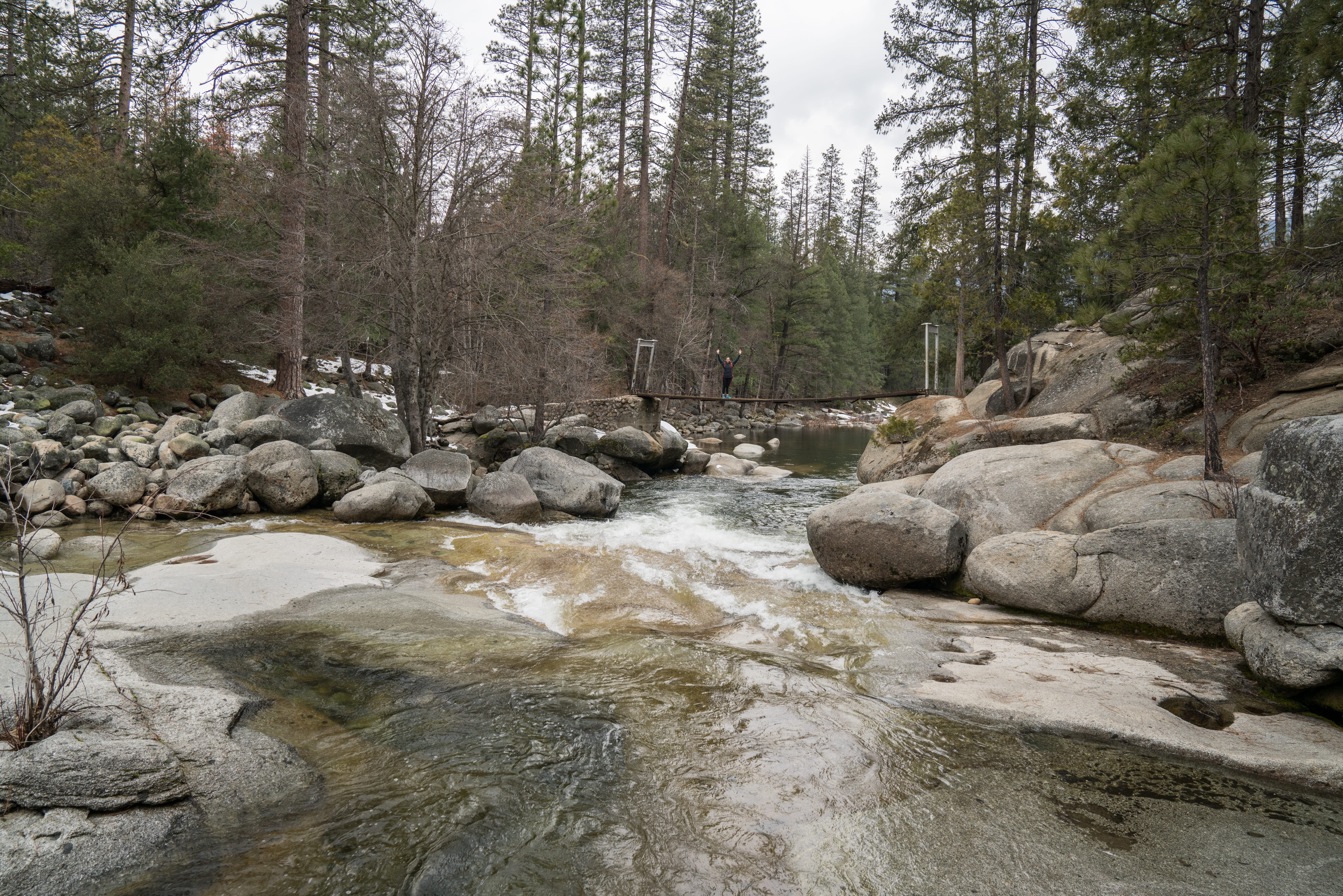 yosemite, tranquility, nature, tree, trees, woodland, outside, land, yosemite national park, life, rock - object, flowing, motion, national park, day, plant, HD Wallpaper