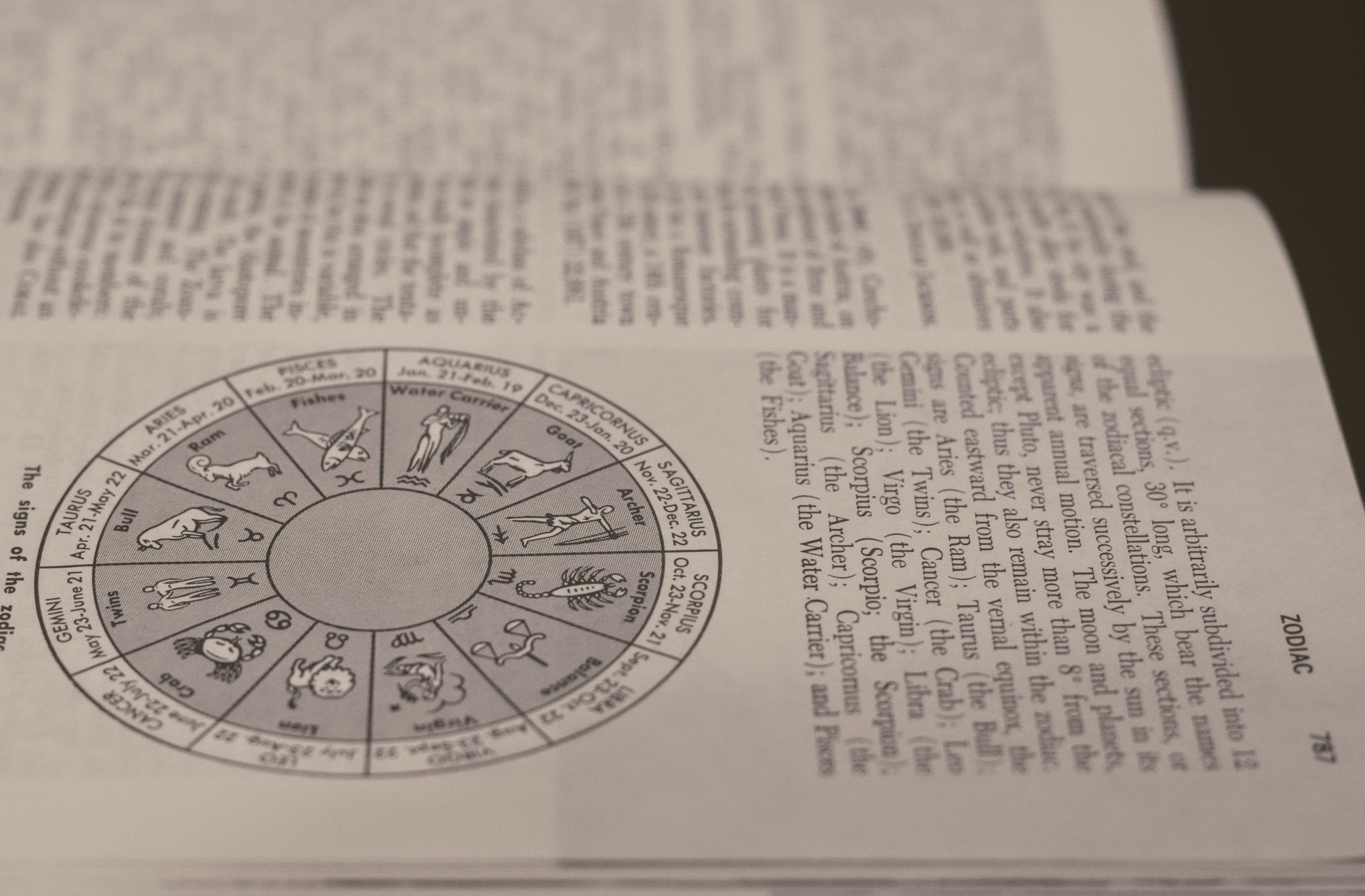 script, business, 4K, newspaper, indoors, geometric shape, communication, zodiac, no people, full frame, western script, signs, bookpage, close-up, still life, HD Wallpaper