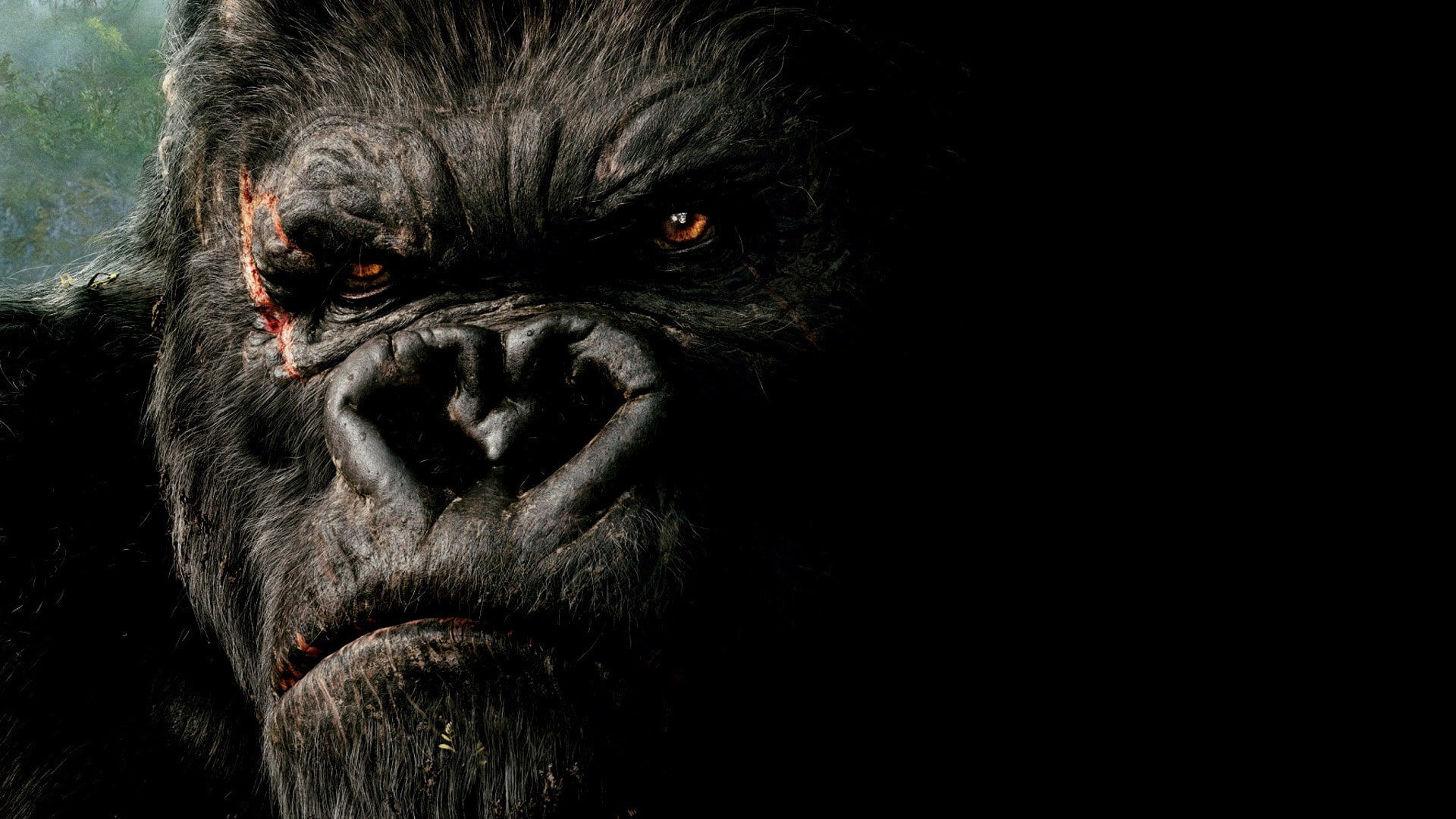 1080P, king kong 2005, HD Wallpaper