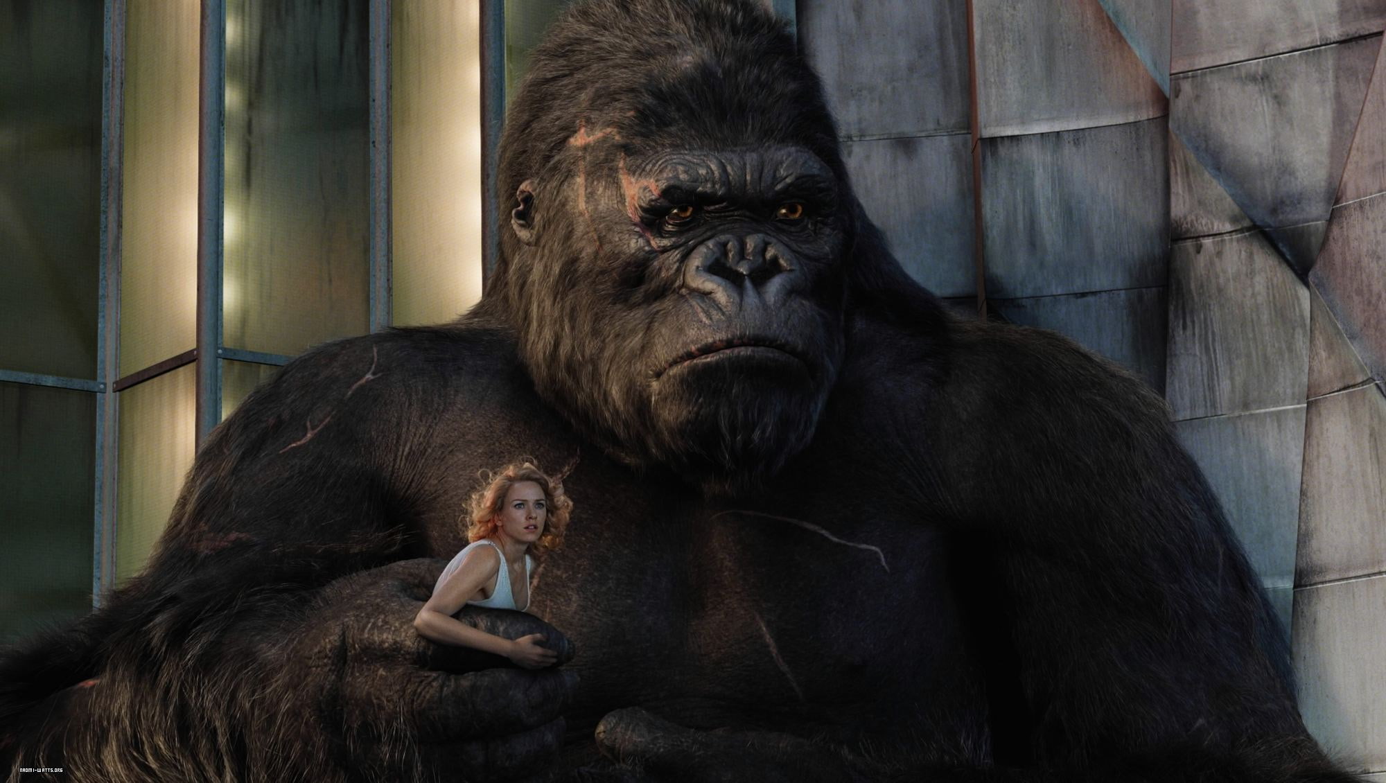 king kong 2005, 1080P, HD Wallpaper