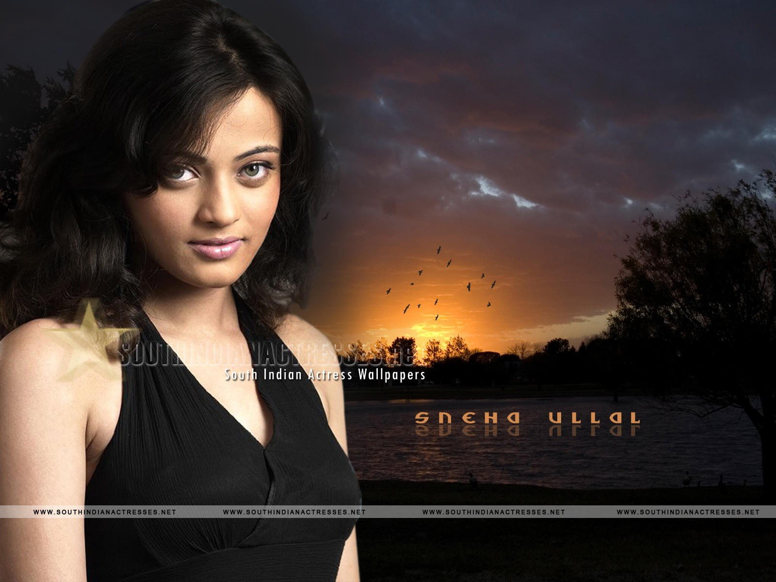 ullal, sneha, indians, brunettes, women, 720P, HD Wallpaper