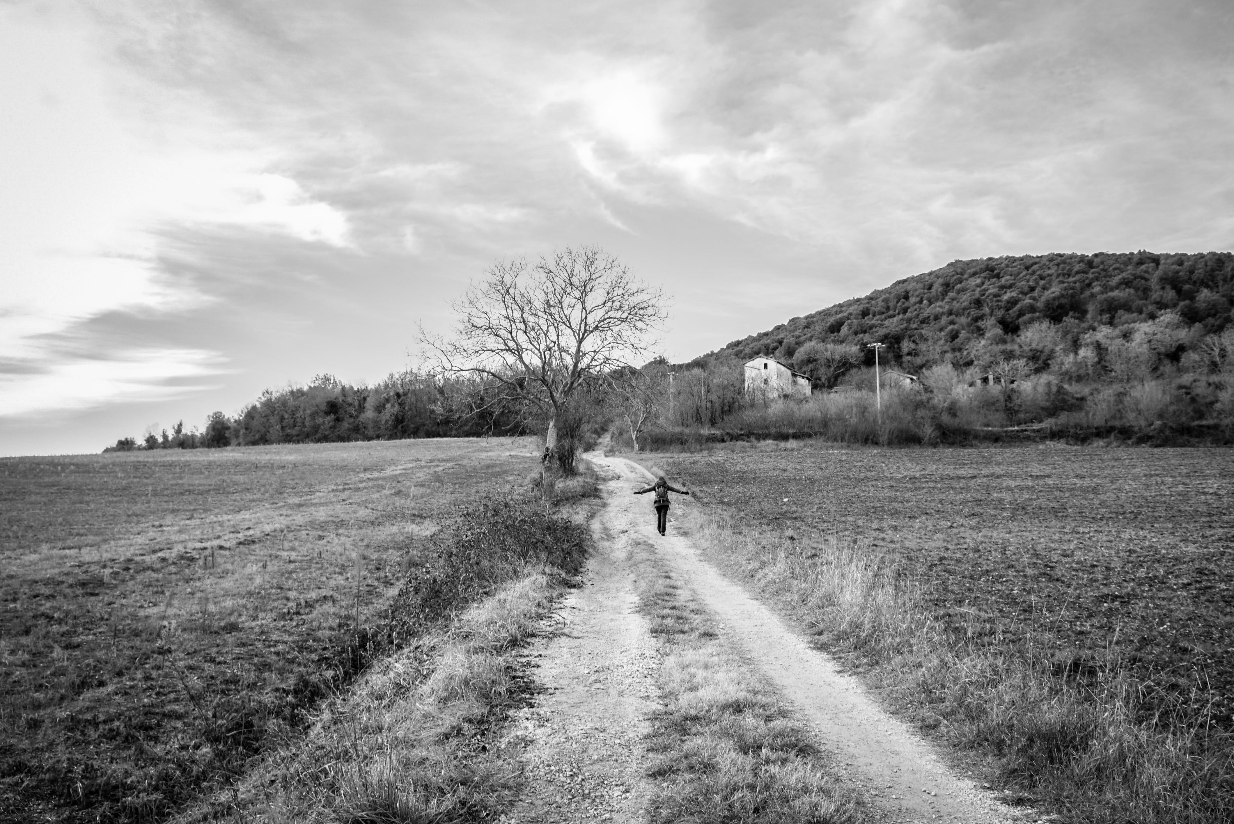 non-urban scene, diminishing perspective, toscana, gray, outdoors, environment, cloud - sky, walking, landscapes, girl, field, plant, landscape, beauty in nature, HD Wallpaper