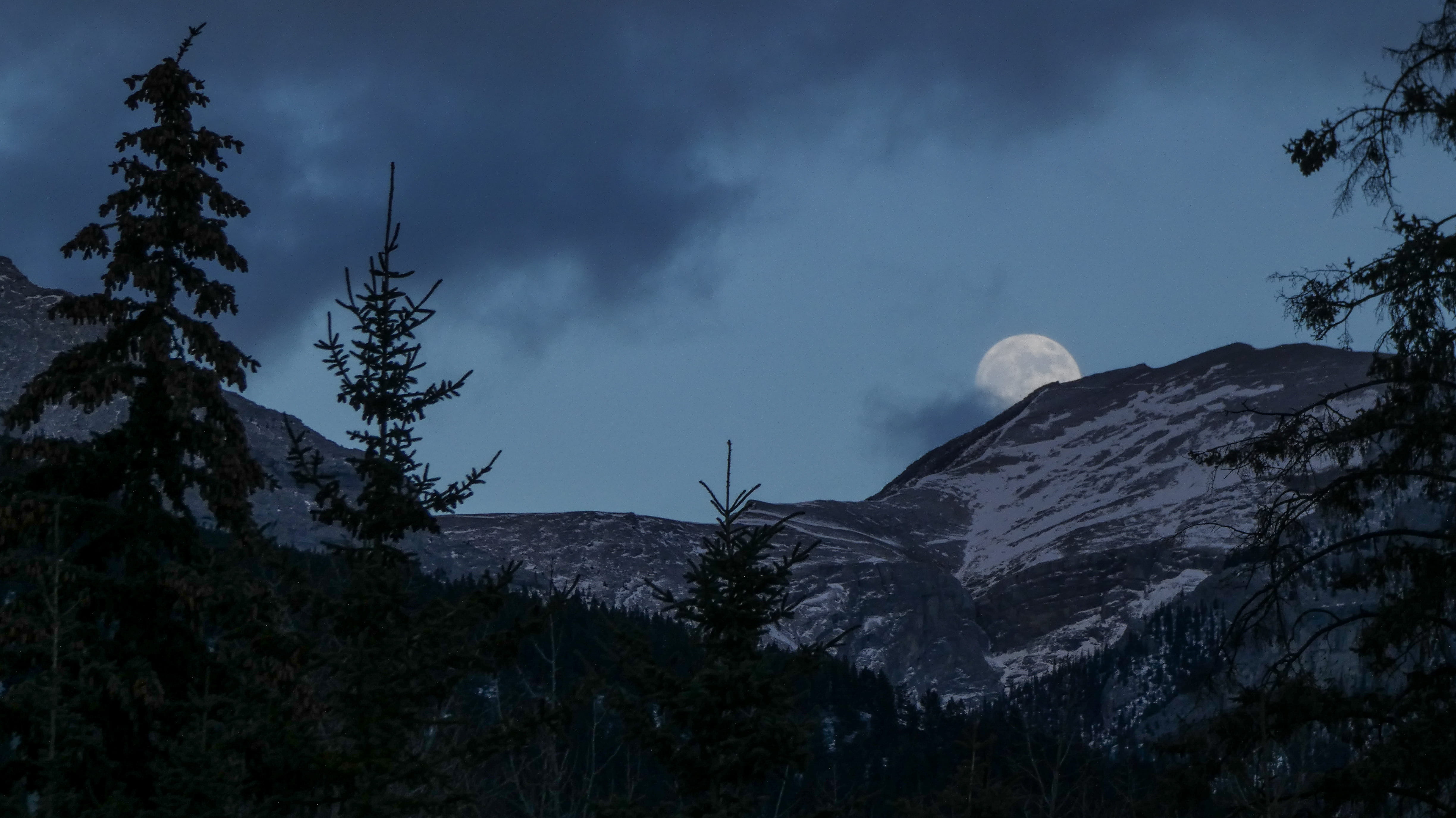 moon, space, night, non-urban scene, winter, tranquility, sky, outer space, landscape, fir, scenics - nature, outdoors, astronomy, partially, HD Wallpaper
