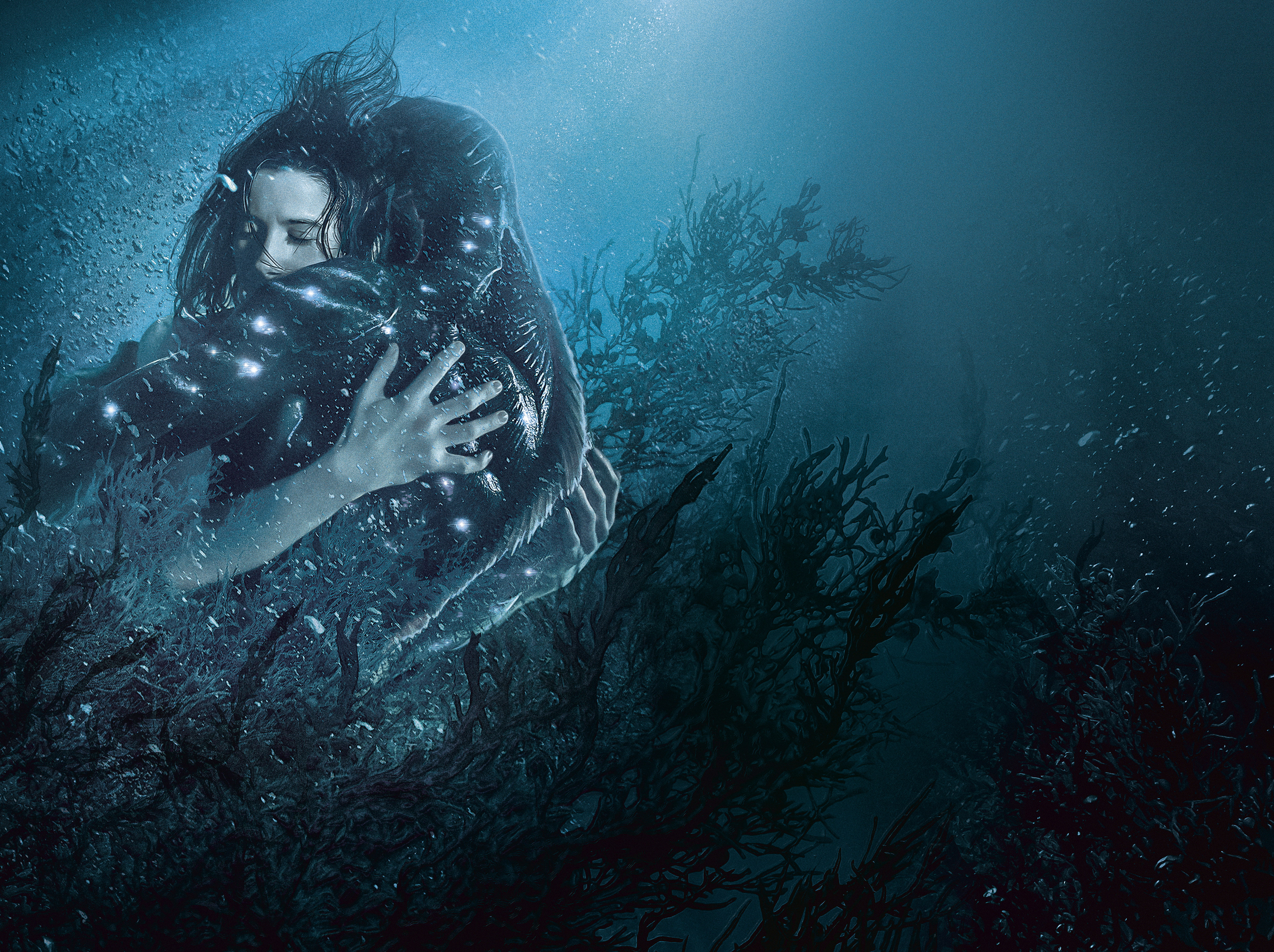 Movie, The Shape of Water, Sally Hawkins, 4K, HD Wallpaper