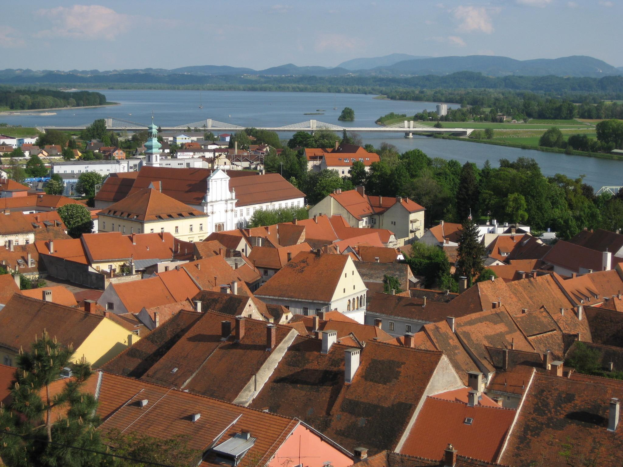 bridge, slovenia, ptuj, house, town, 1080P, river, nature and landscapes, oldest, lake, HD Wallpaper