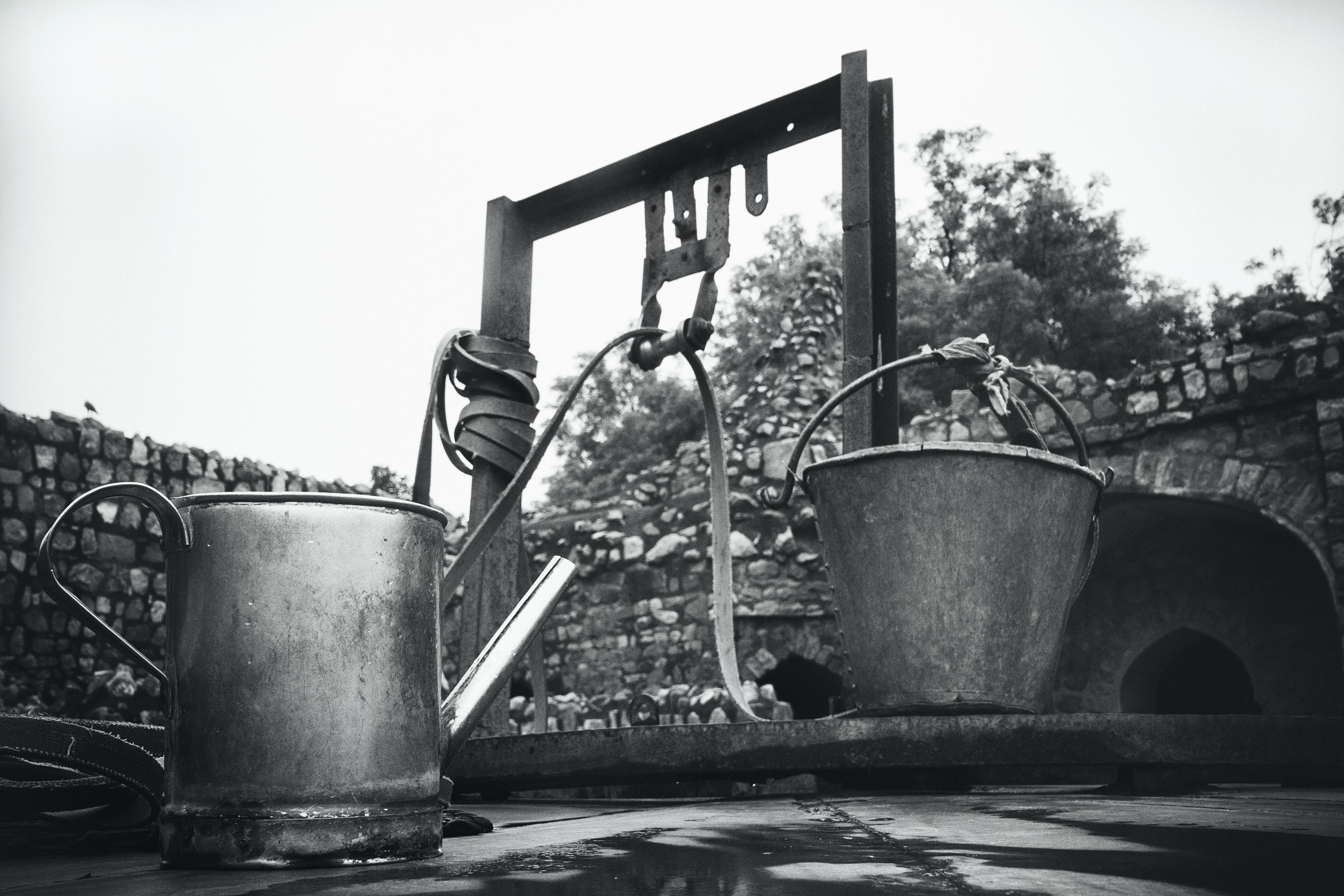 day, classic, tree, tomb, container, black and white, equipment, close-up, forts, nature, india, no people, history, outdoors, machinery, still life, plant, HD Wallpaper