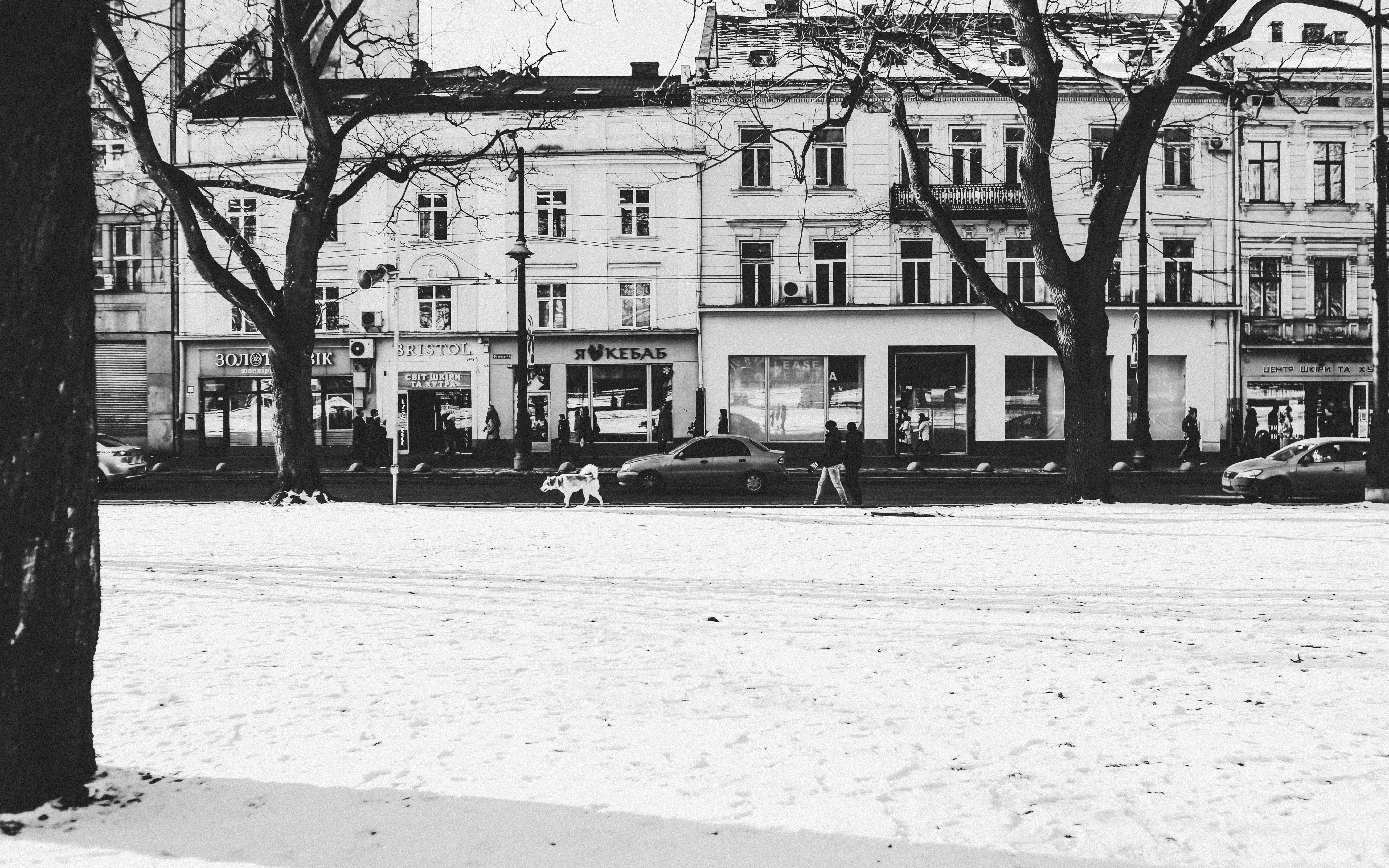 elder, motor vehicle, fabric, snow, built structure, nature, structure, male, architecture, plant, edifice, stadium, formation, wind, residential district, HD Wallpaper