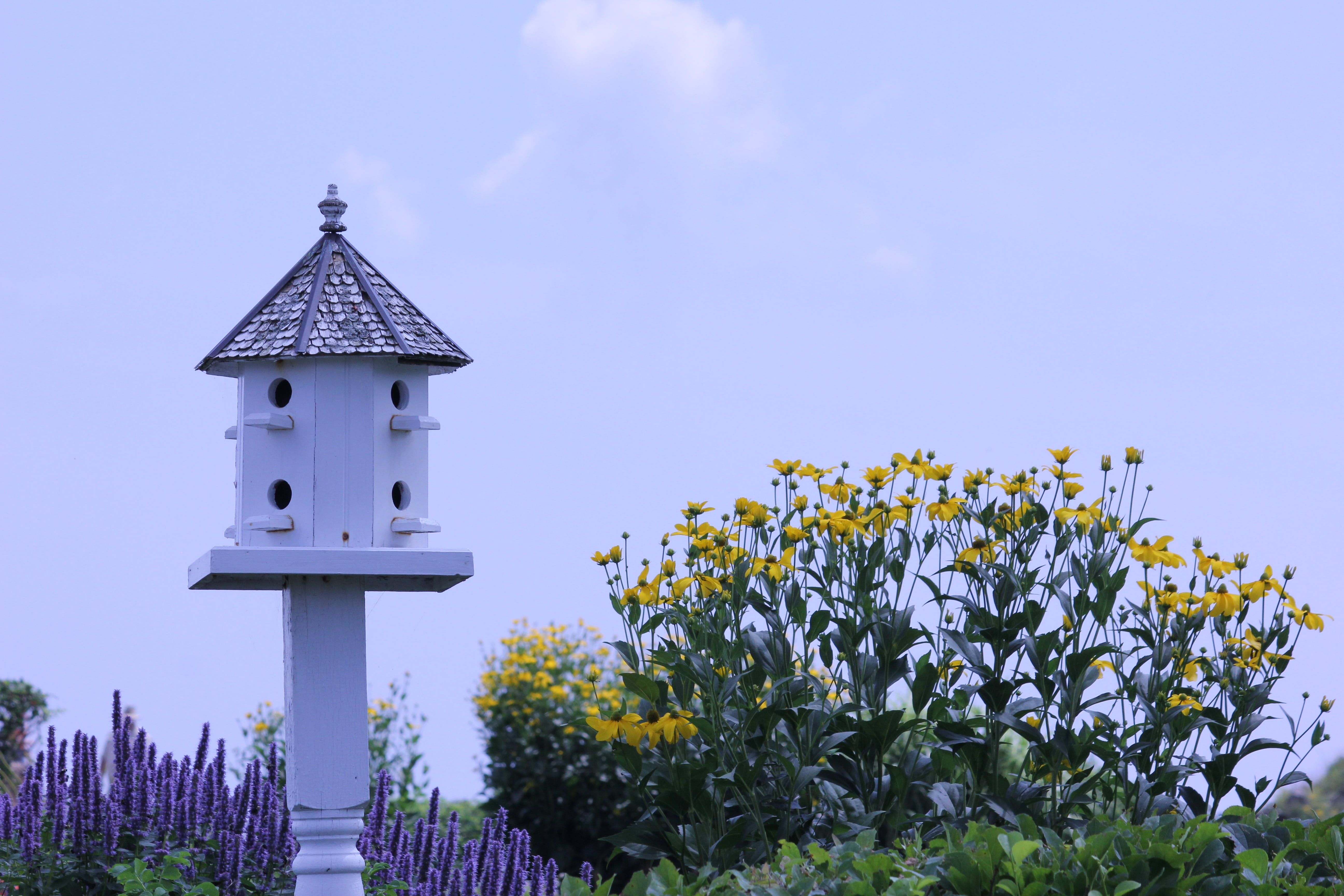 leisure, plant, freshness, building, architecture, field, beauty in nature, religion, sky, land, fragility, built structure, 5K, nature, flower, outdoors, HD Wallpaper