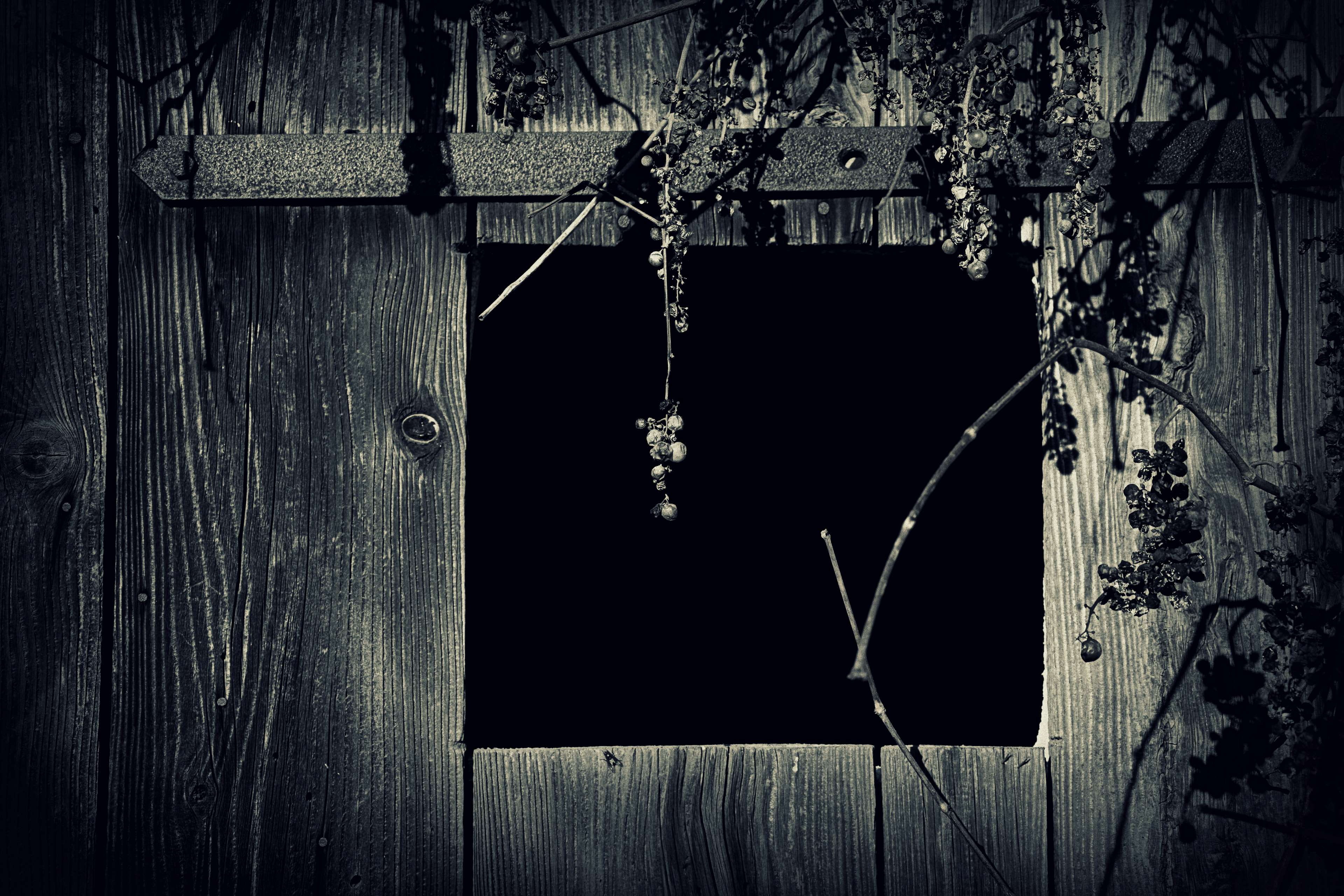 rustic, window, wood, built structure, rust, abandoned, building, margin, iron, wall, architecture, wood - material, vintage, weathered, dark, grapes, wall - building feature, HD Wallpaper