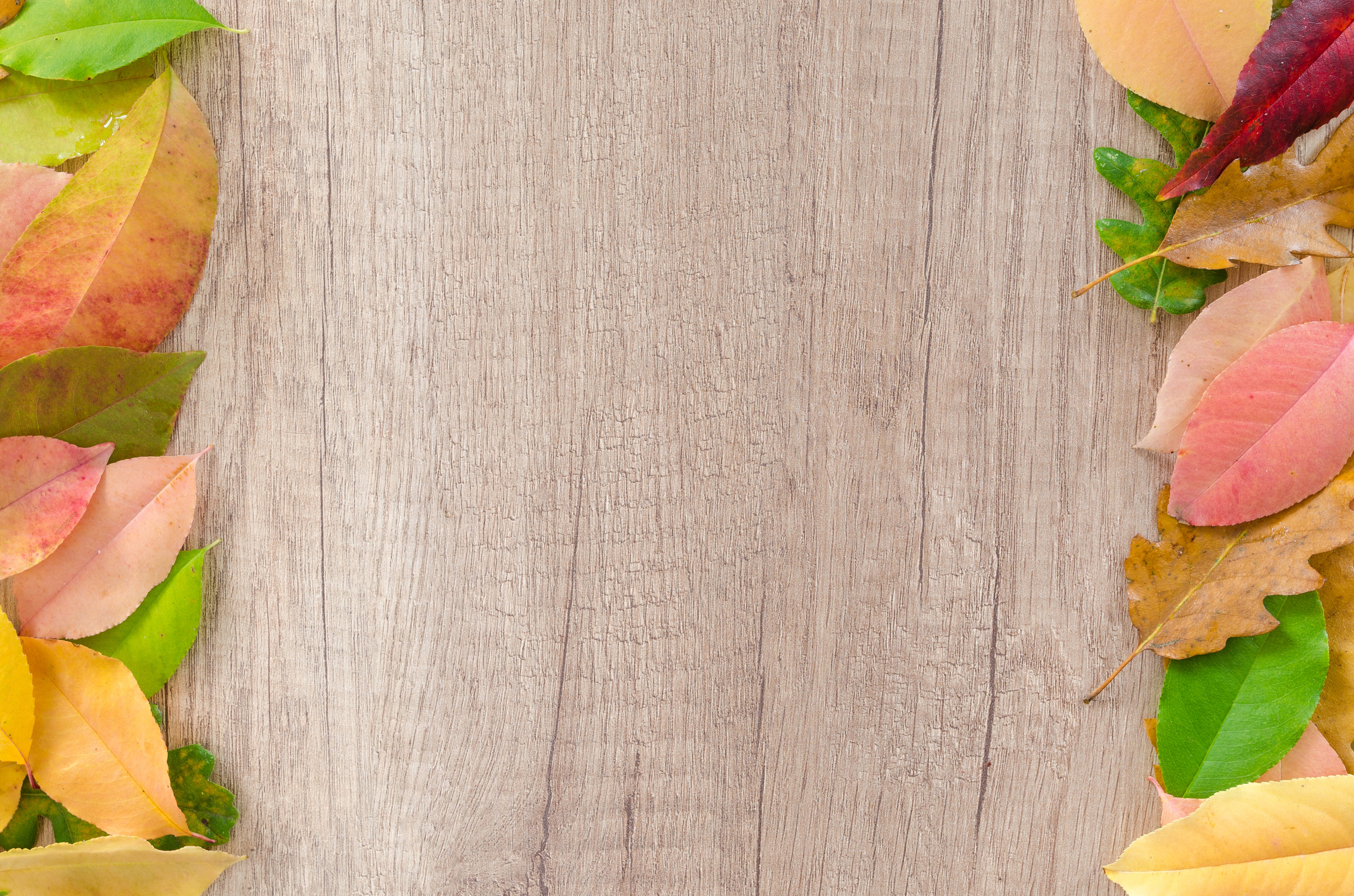 food and drink, texture, copy space, margin, decoration, wood - material, food, foliage, colorful, no people, fall foliage, pattern, background, color, HD Wallpaper
