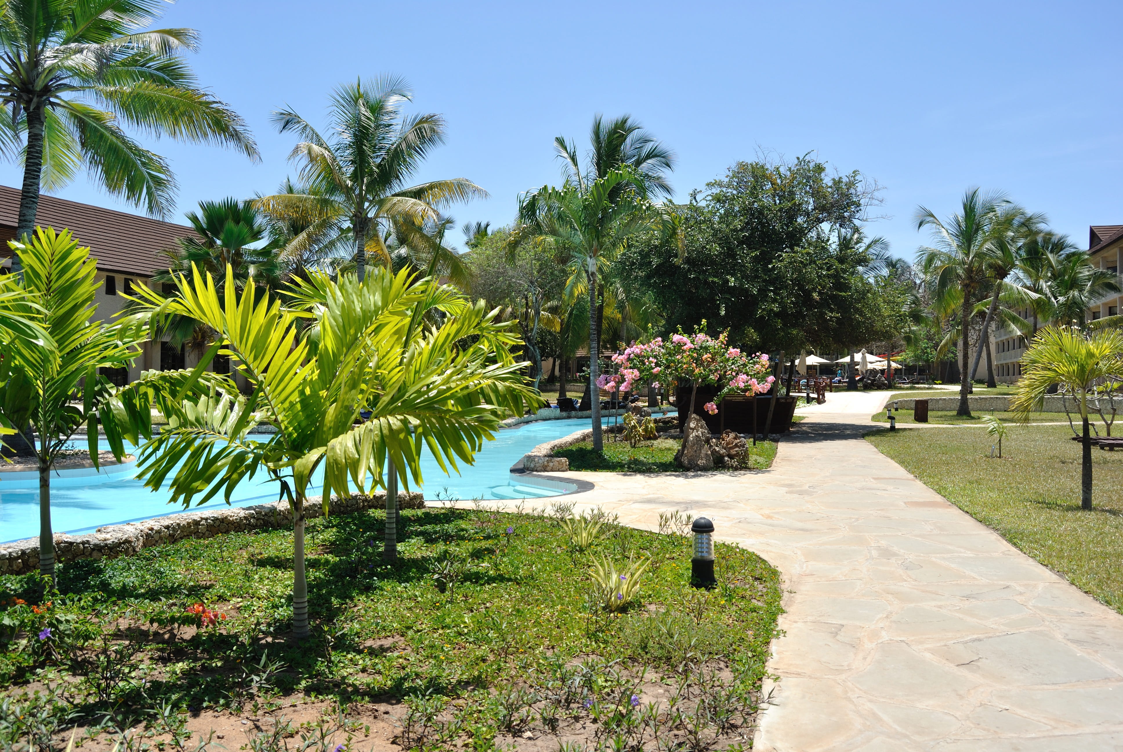outdoors, plant, holiday, water, tree, growth, resort, coconut trees, garden, swimming pool, architecture, nature, palms, 4K, pathway, sunlight, building exterior, HD Wallpaper