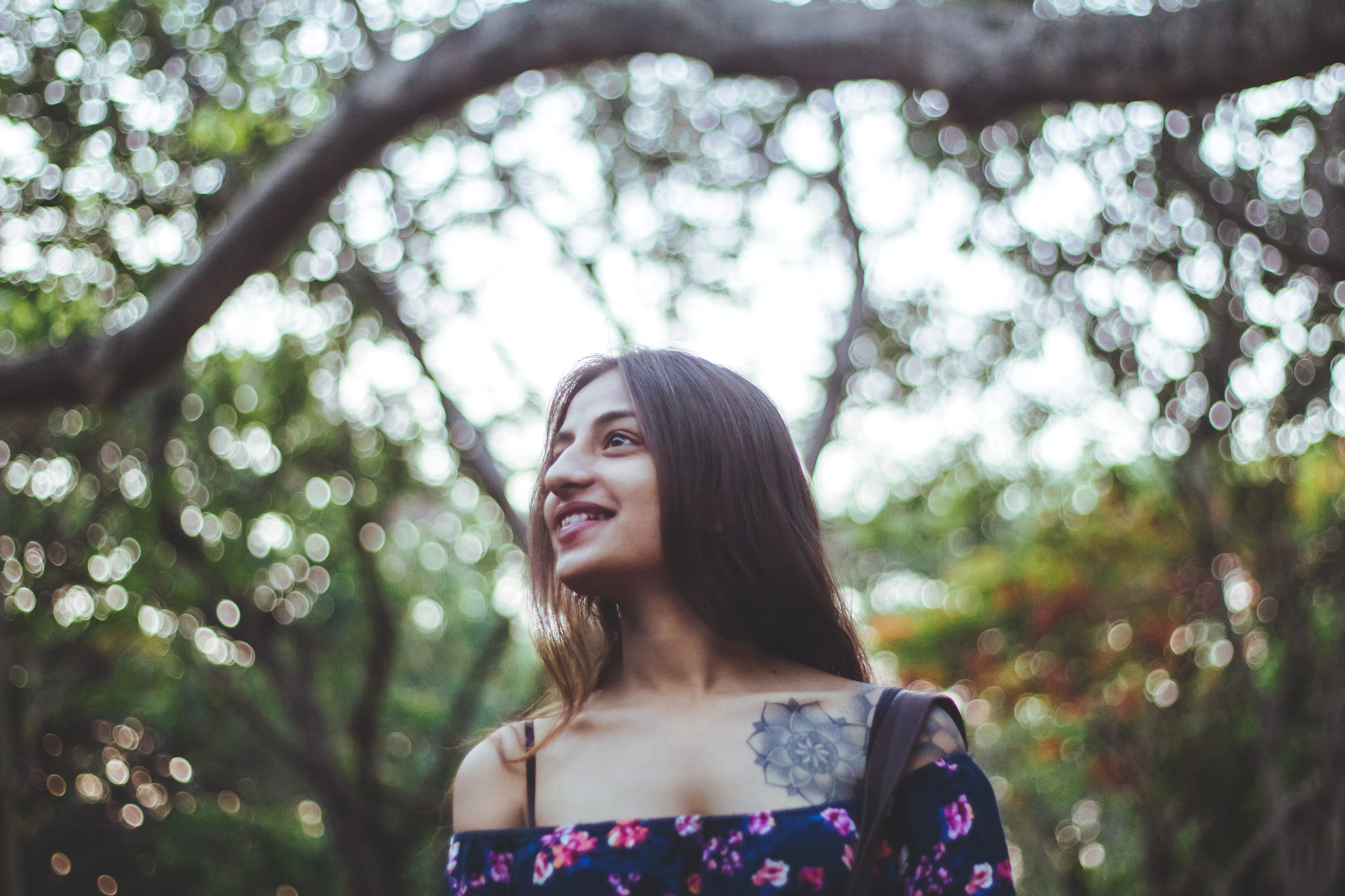 tree, beauty, headshot, pink, long hair, lake, looking, hairstyle, cold, portait, floral, happiness, smiling, nature, brown hair, love, hair, blue, wilderness, HD Wallpaper