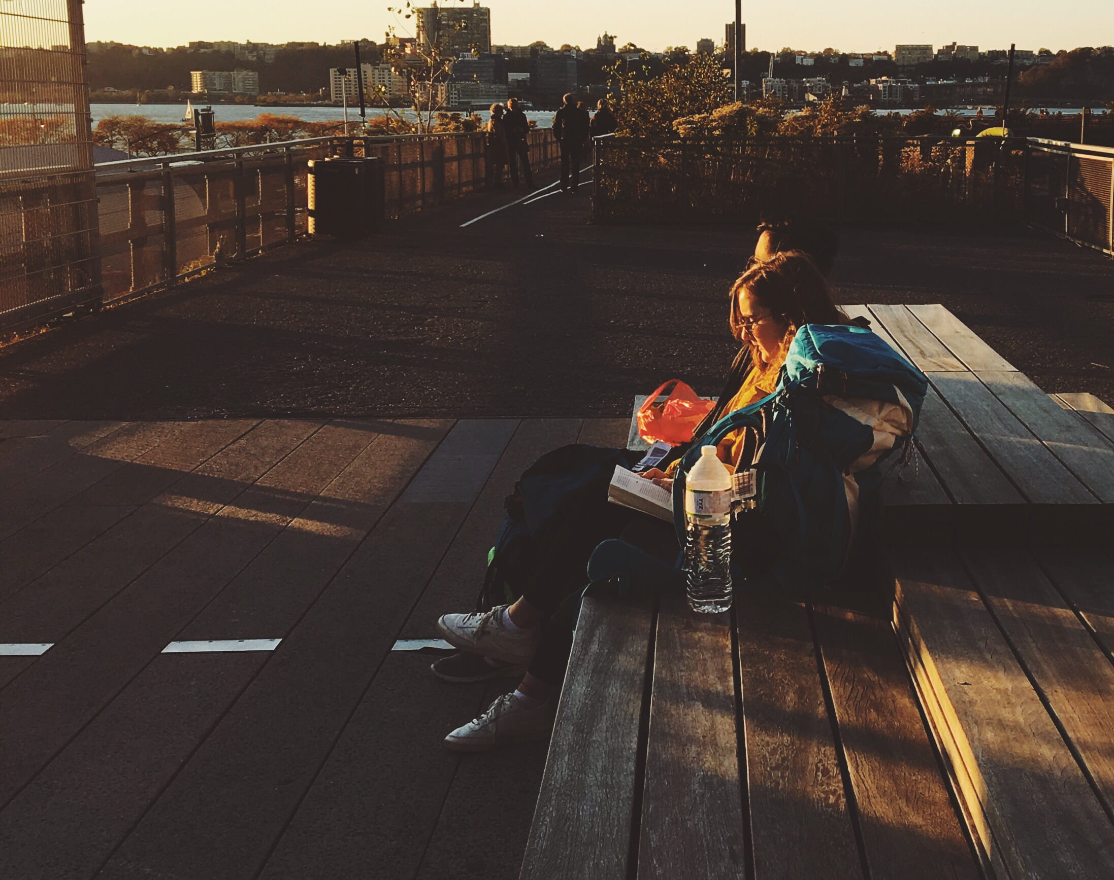 people, united states, architecture, mammal, day, built structure, casual clothing, men, real people, sunlight, high line, noun, nature, women, couple, HD Wallpaper