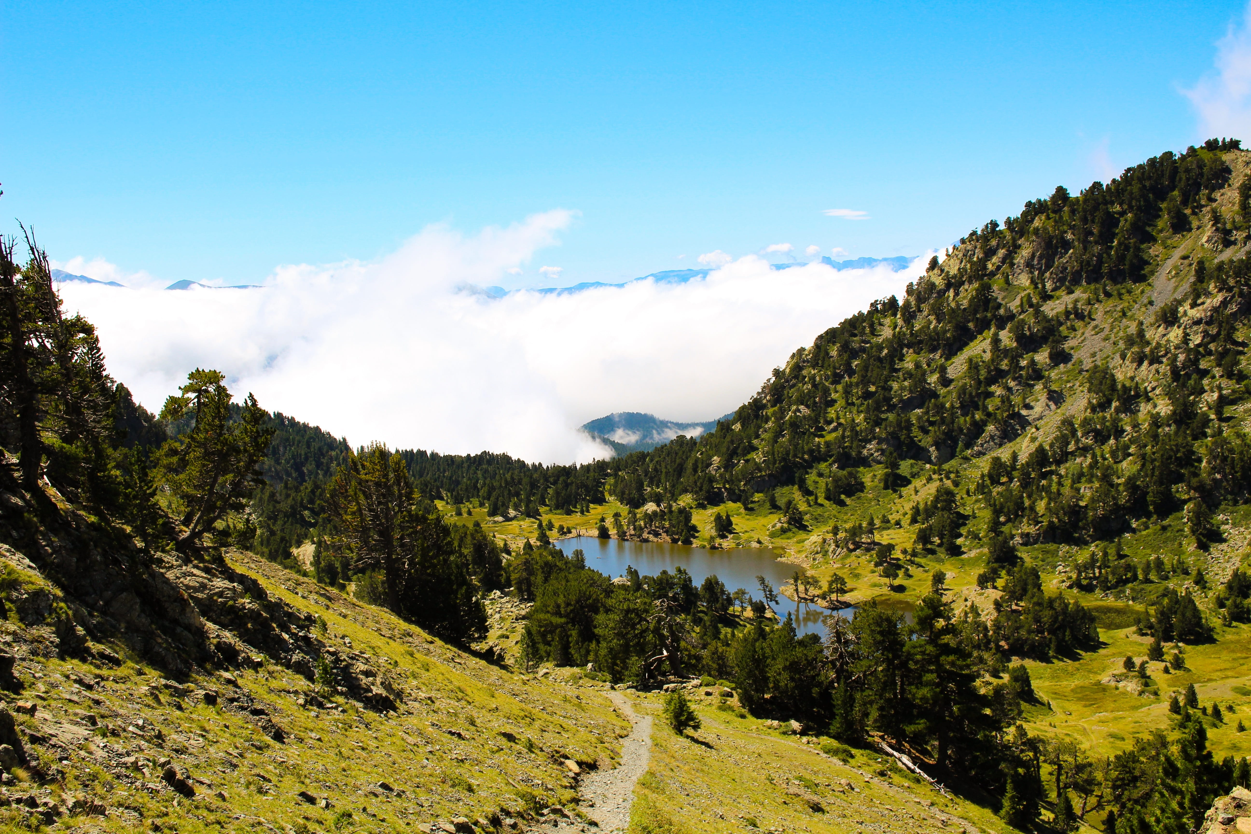 clouds, land, 5K, tourism, tranquility, mountain, outdoors, based, panoramic, idyllic, scenics - nature, alps, tree, day, mountain pastures, non-urban scene, HD Wallpaper