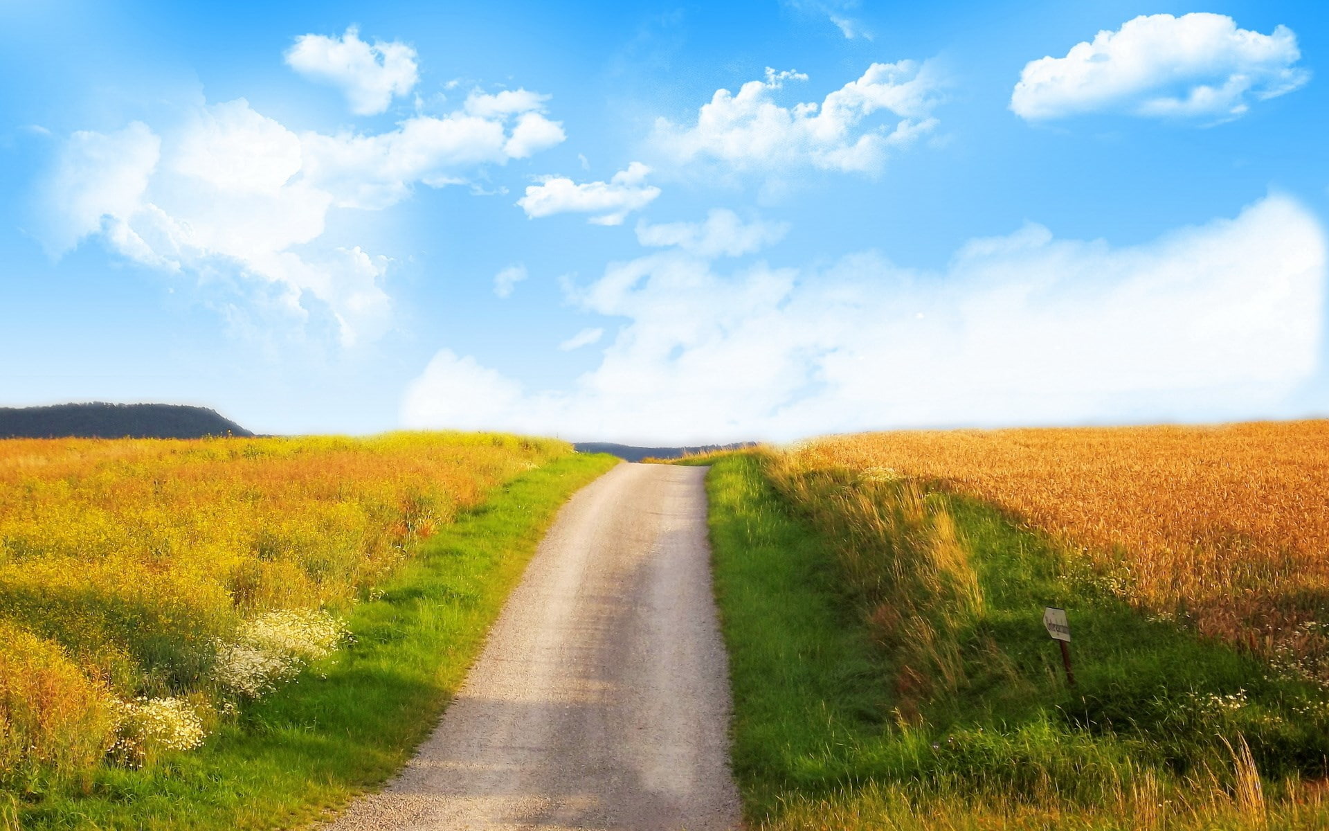 scenics - nature, plant, long, cool background pictures nature 1920x1200, no people, direction, nature, diminishing perspective, tranquil scene, horizon over land, HD Wallpaper