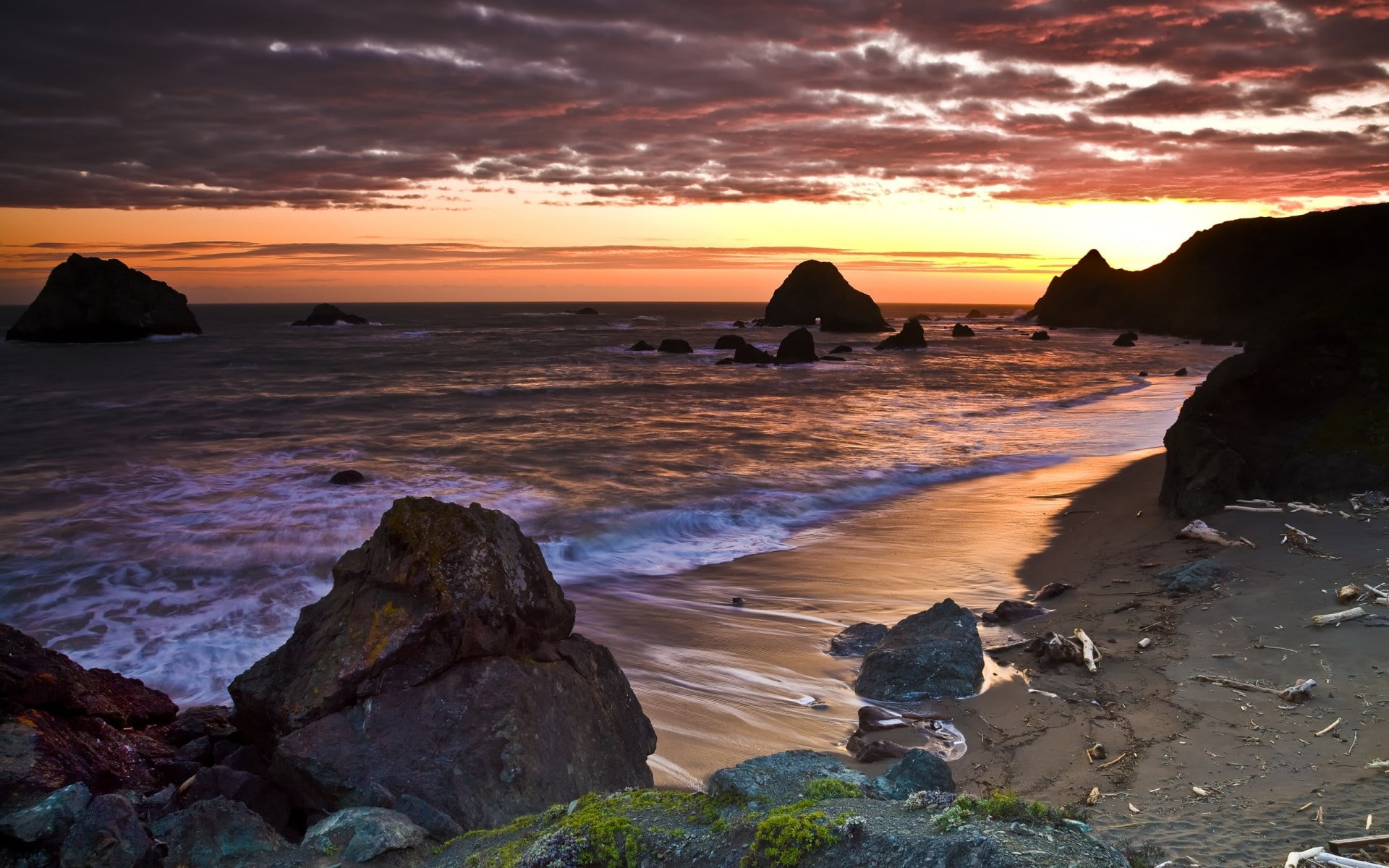 1080P, cool background pictures nature 1920x1200, HD Wallpaper