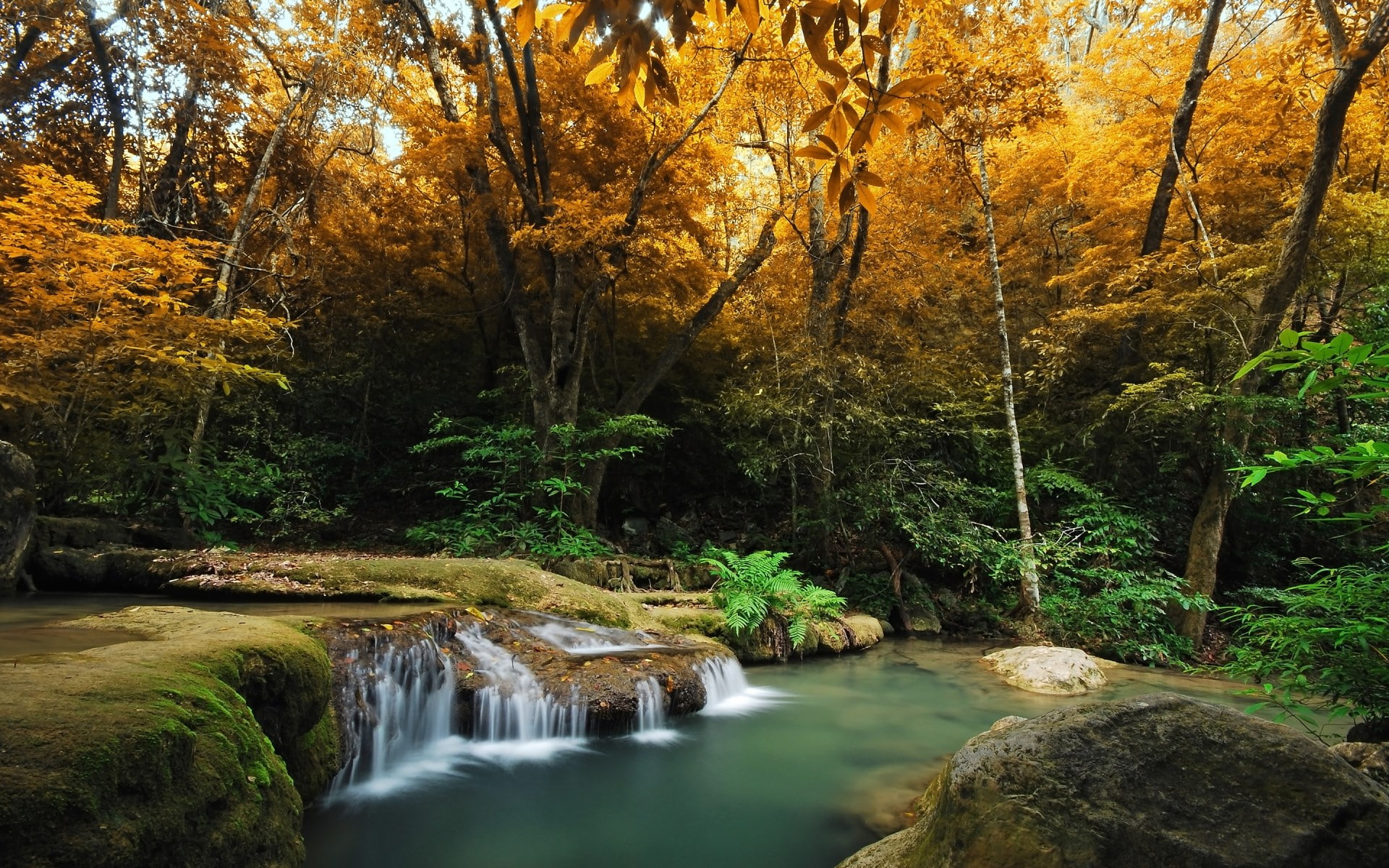 cool background pictures nature 1920x1200, 1080P, HD Wallpaper