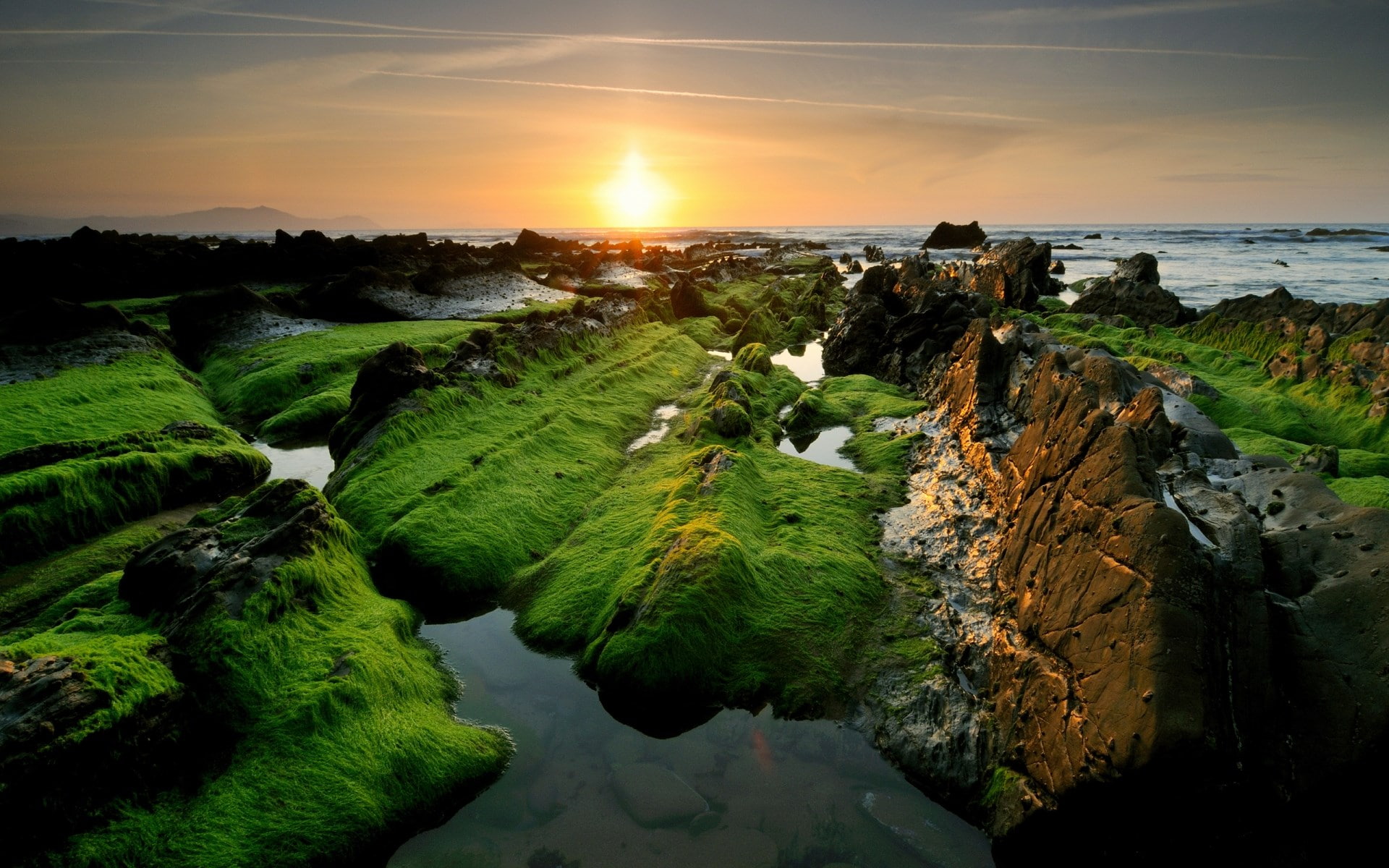 1080P, cool background pictures nature 1920x1200, HD Wallpaper