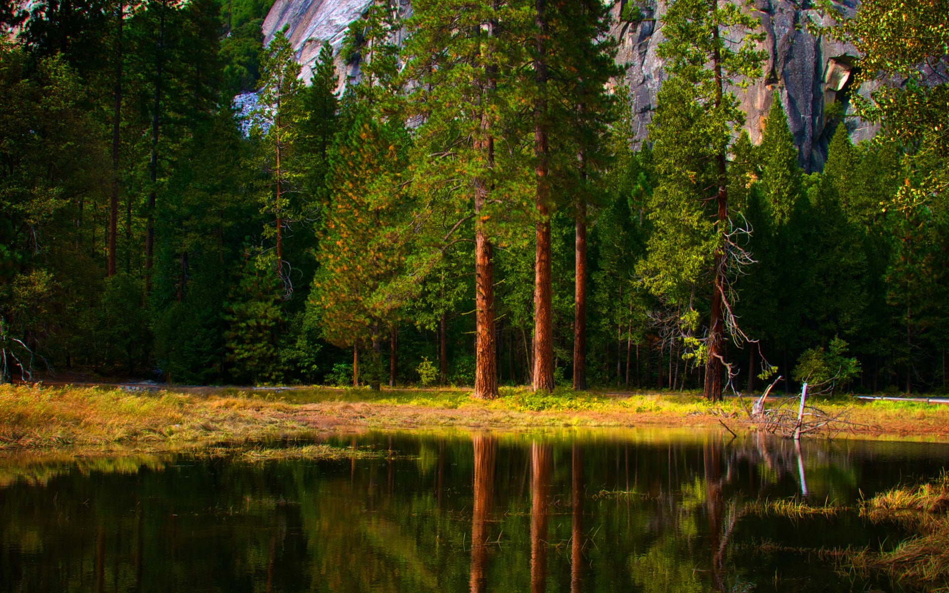 image background nature hd 1920x1200, 1080P, HD Wallpaper