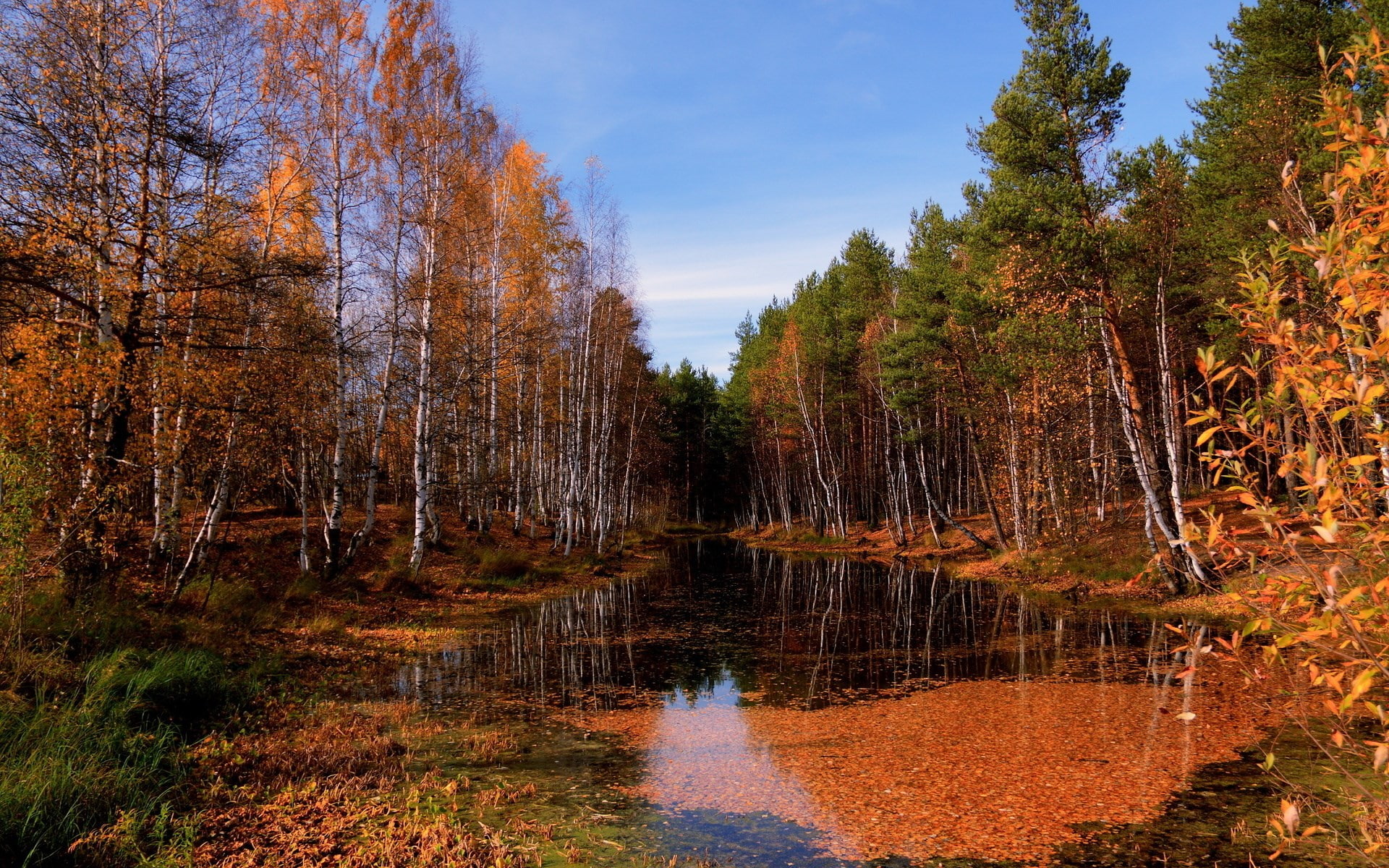 image background nature hd image 1920x1200, 1080P, HD Wallpaper