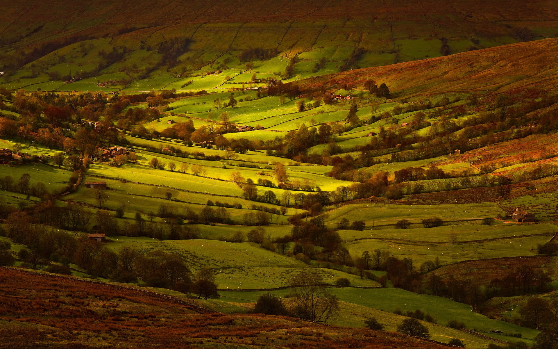 image background nature hd image 1920x1200, 1080P, HD Wallpaper