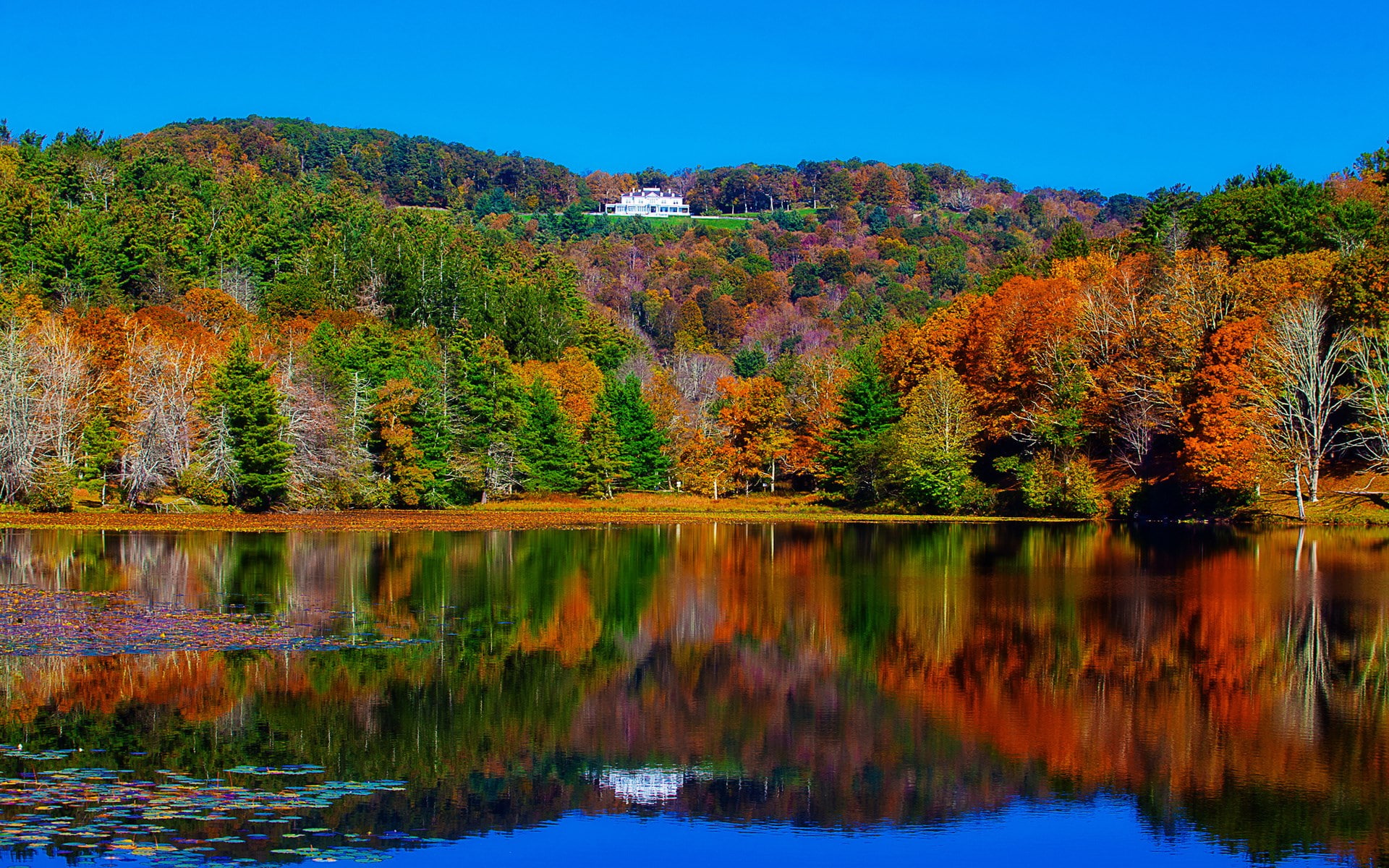 background image hd nature scene 1920x1200, 1080P, HD Wallpaper