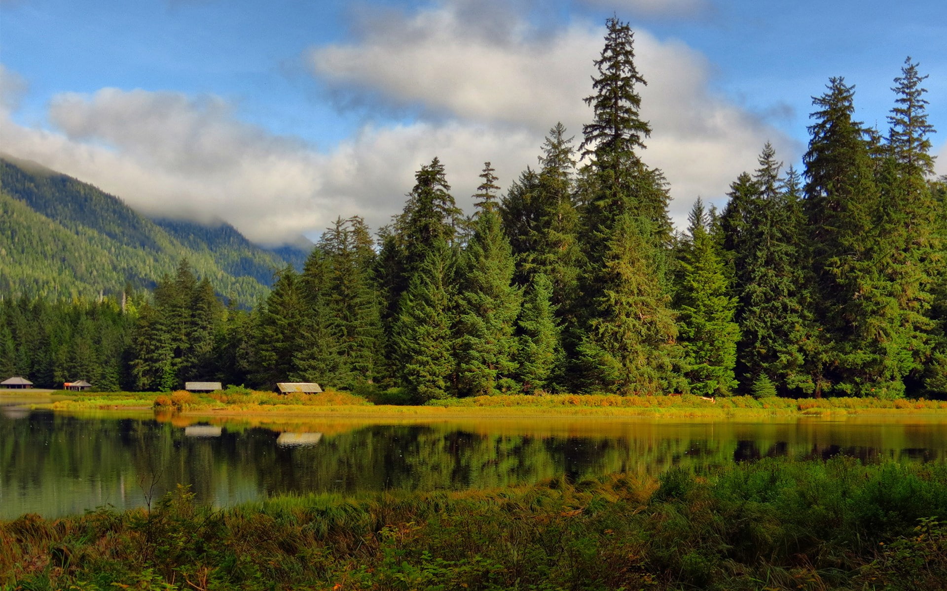 background image hd nature scene 1920x1200, 1080P, HD Wallpaper