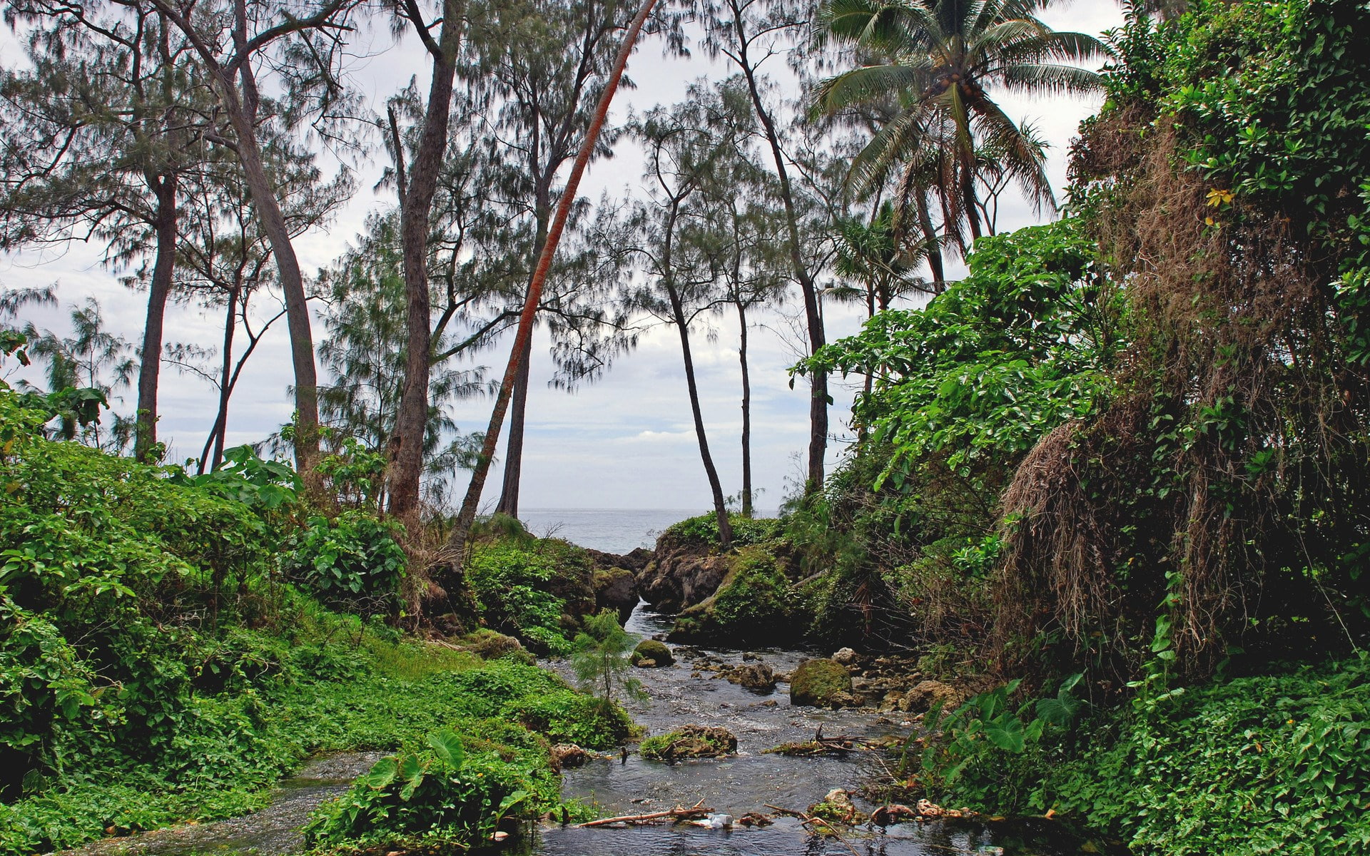 1080P, image background nature hd image 1920x1200, HD Wallpaper