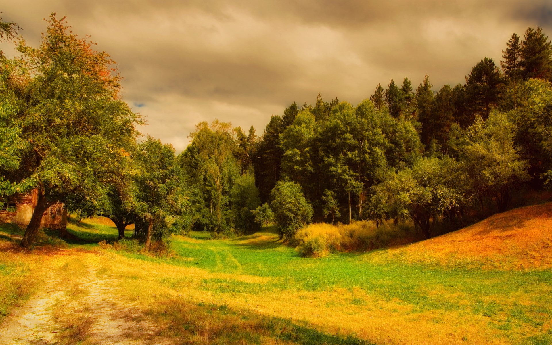 image background nature hd 1920x1200, 1080P, HD Wallpaper