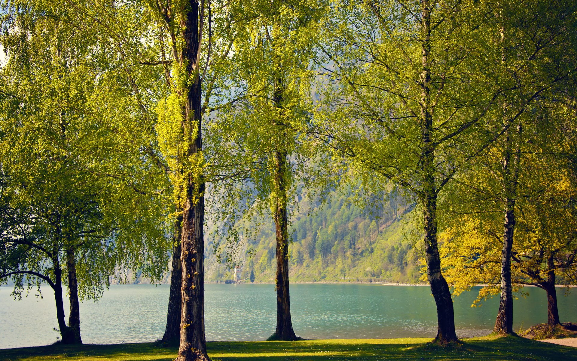 background image hd nature scene 1920x1200, 1080P, HD Wallpaper