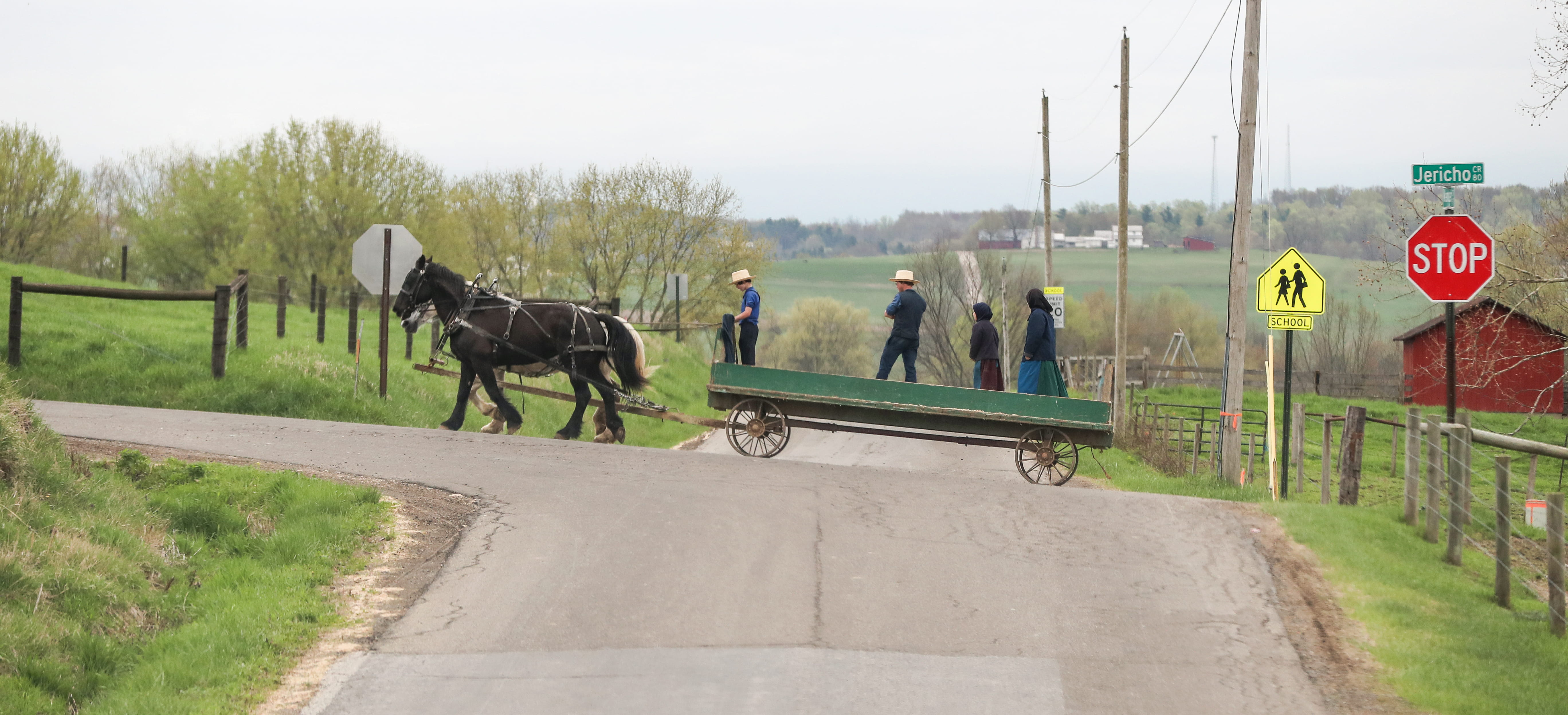 black, mammal, boundary, symbol, horse, sign, day, road sign, wagon, nature, plant, bench, animal, clothing, sky, machine, real people, tree, walking, 5K, HD Wallpaper